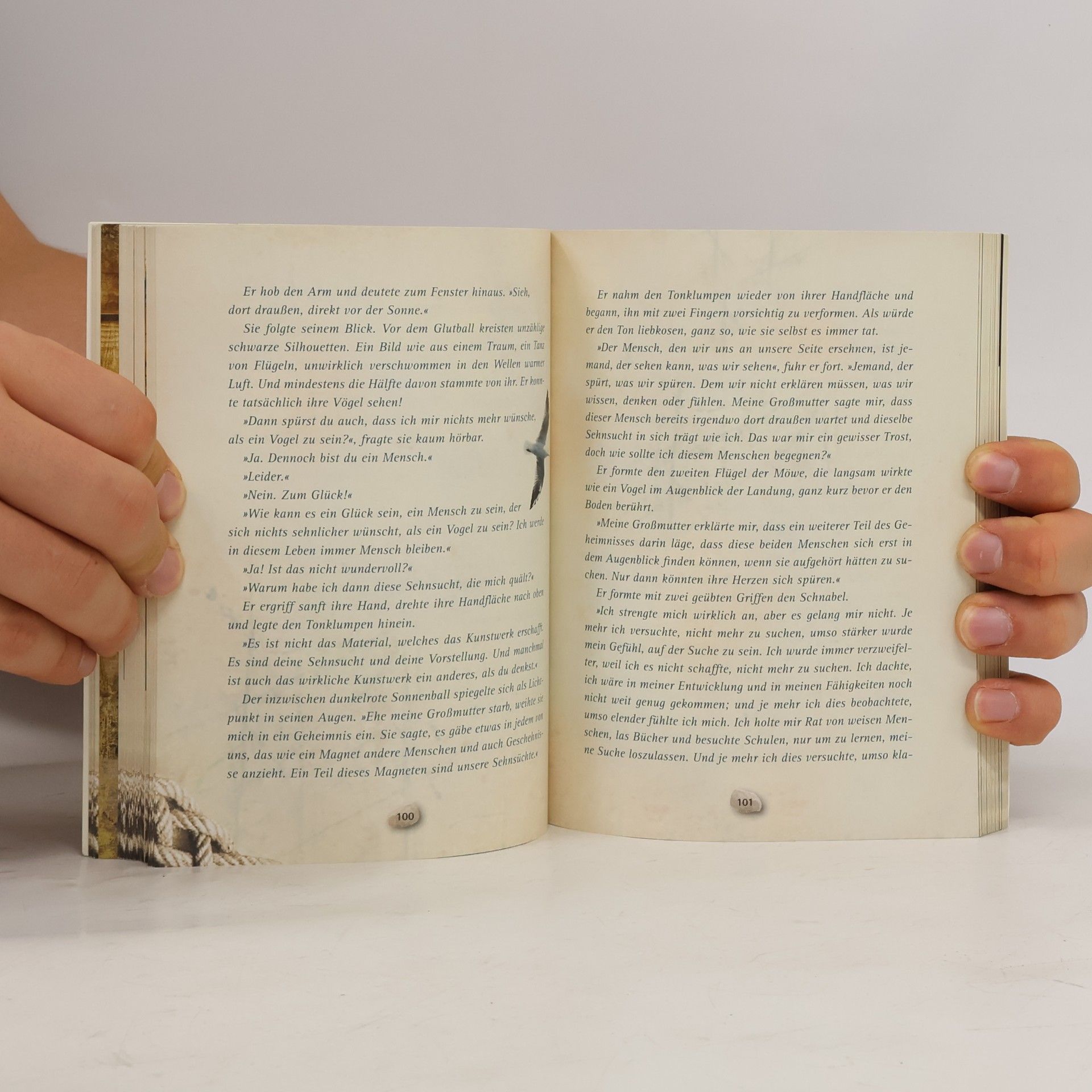 Ruediger Schache Der geheime Plan Ihres Lebens