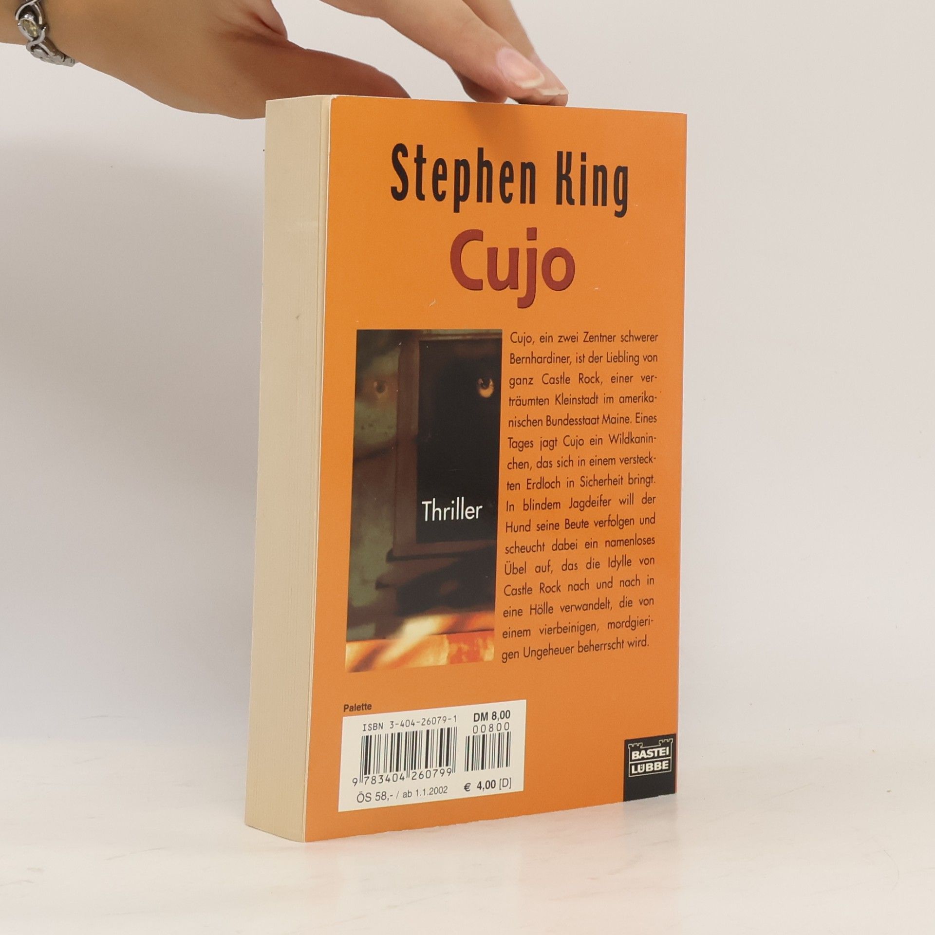 Stephen King Cujo