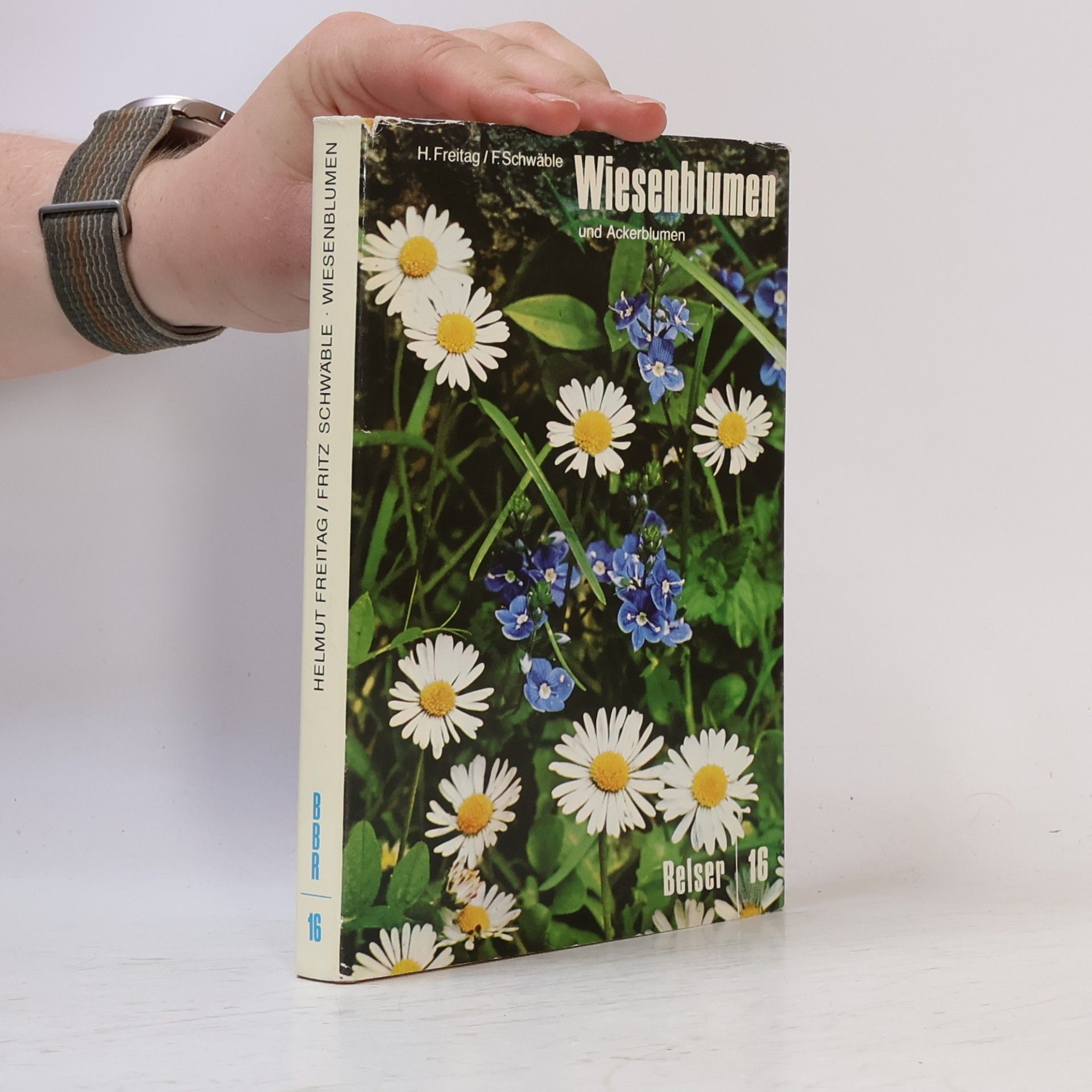 Helmut Freitag Wiesenblumen und Ackerblumen