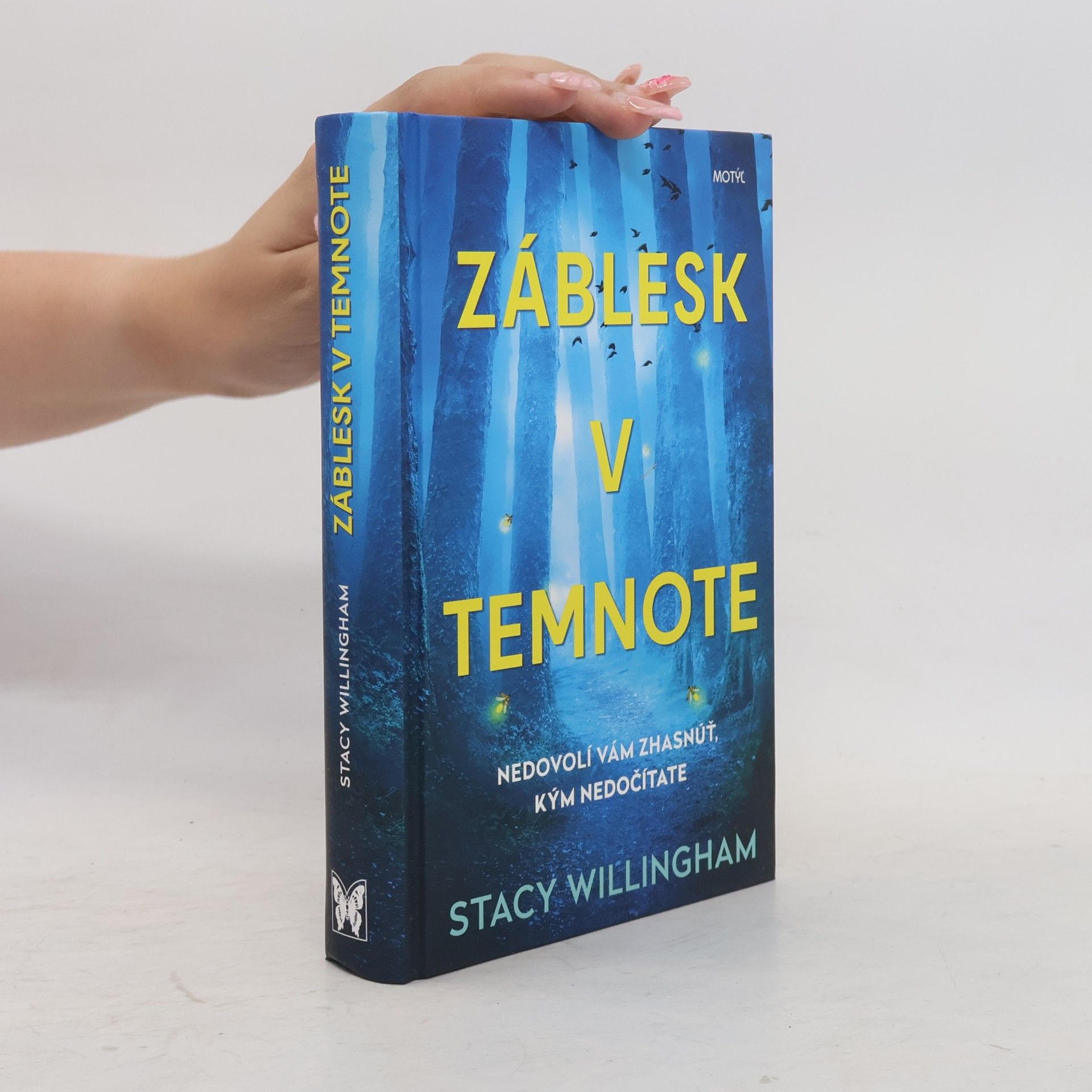 Stacy Willingham Záblesk v temnote