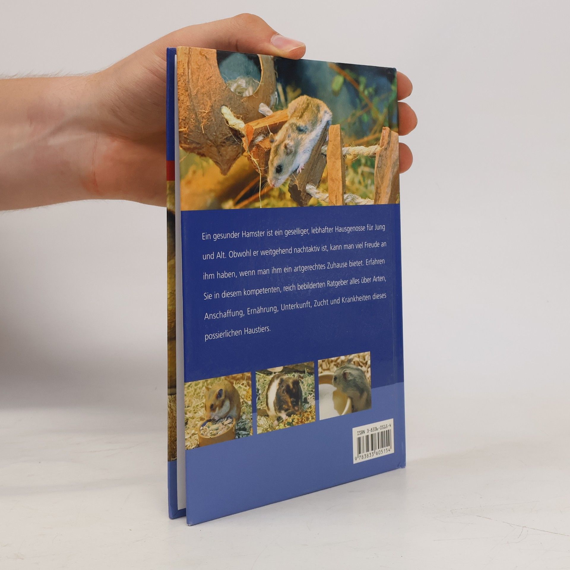 Autorenkollektiv Der praktische Tierratgeber: Hamster