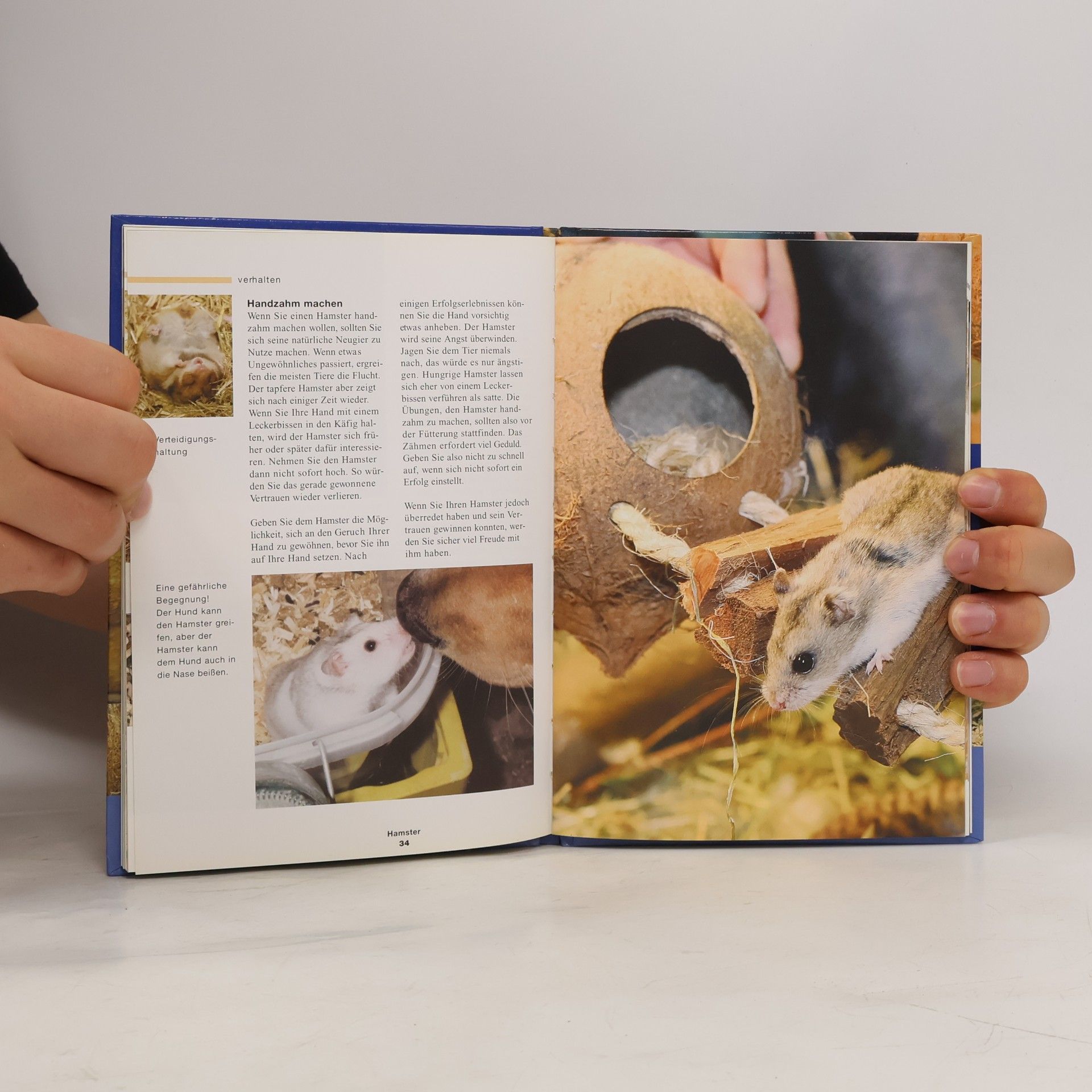 Autorenkollektiv Der praktische Tierratgeber: Hamster