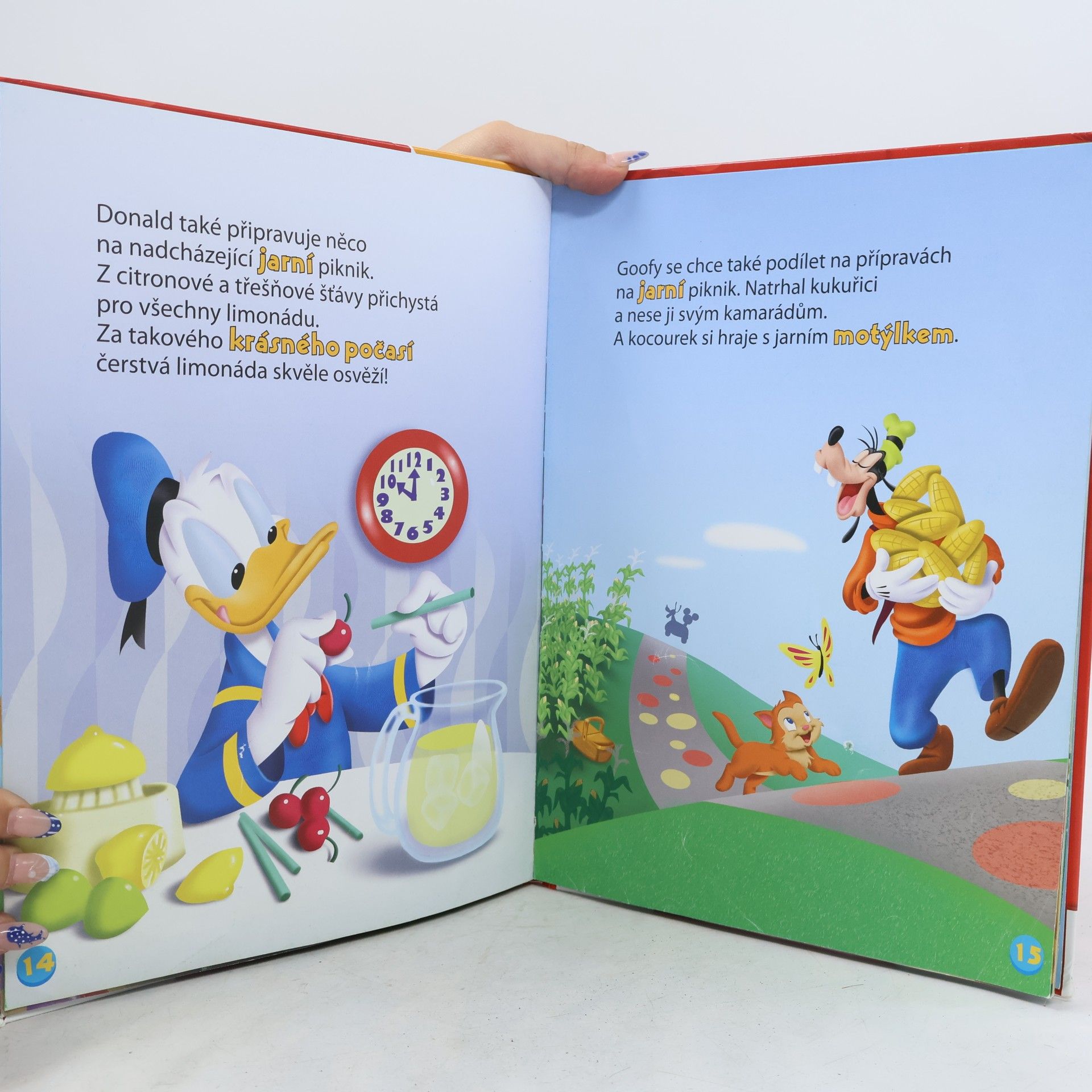 Autorenkollektiv Mickeyho Klubík. Hraj si a uč se s Mickey Mousem 9. Jaro!