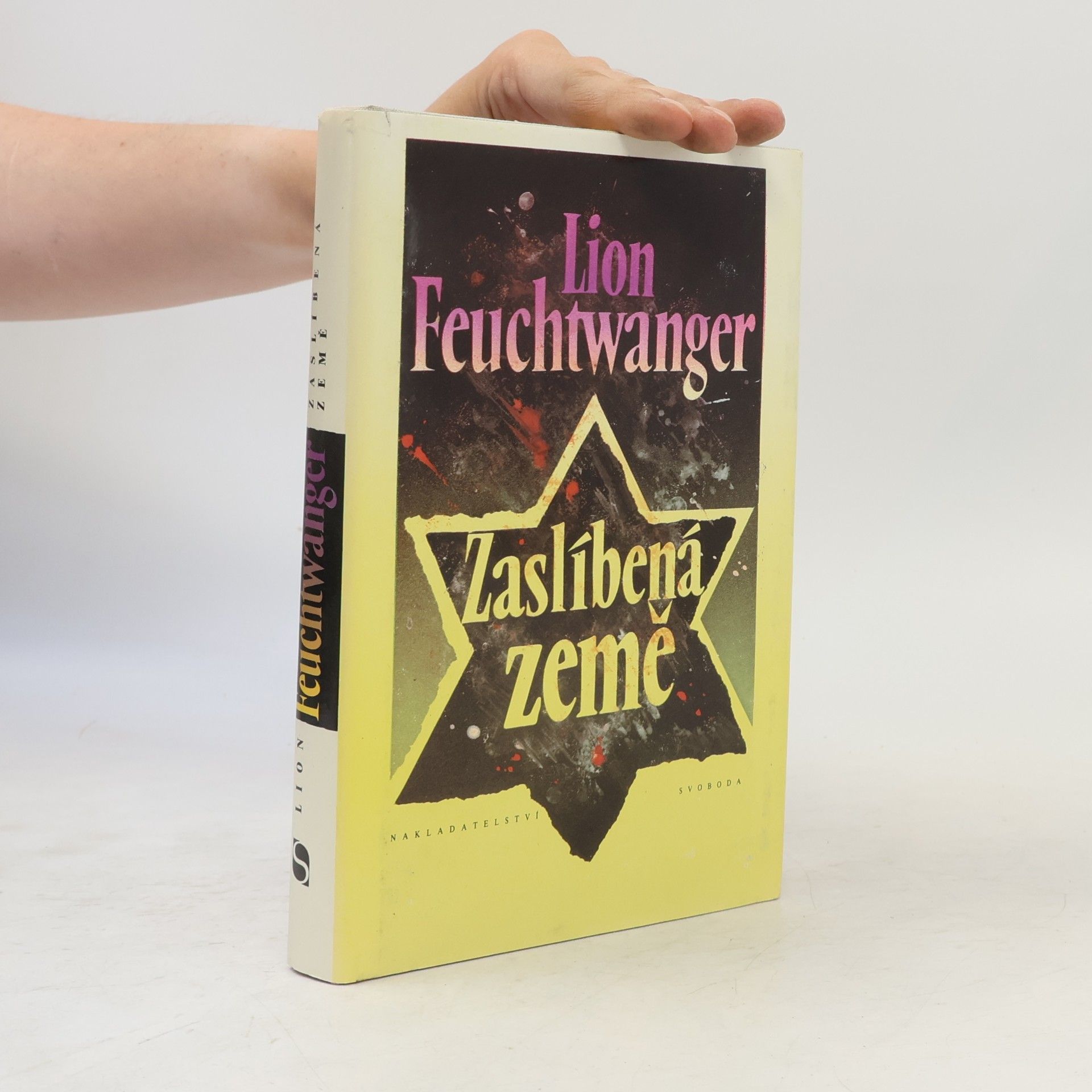 Lion Feuchtwanger Zaslíbená země