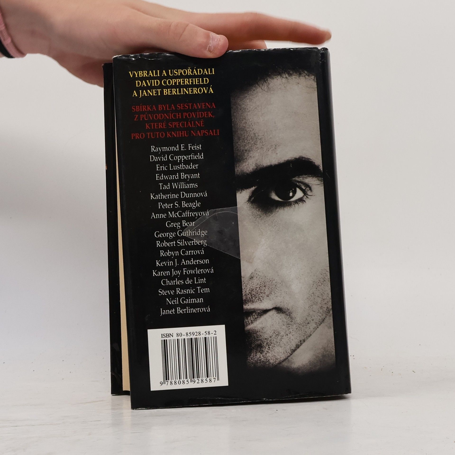 Bohumila Kučerová David Copperfield - Za hranicemi fantazie