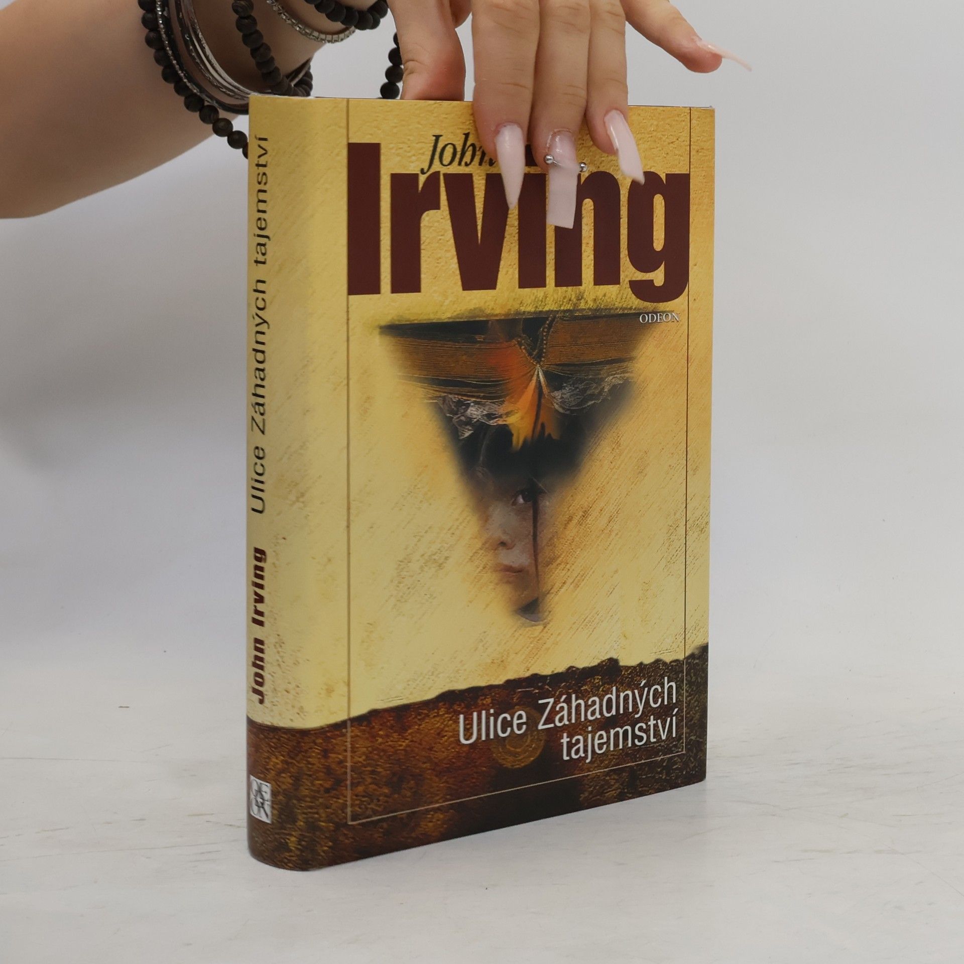 John Irving Ulice Záhadných tajemství
