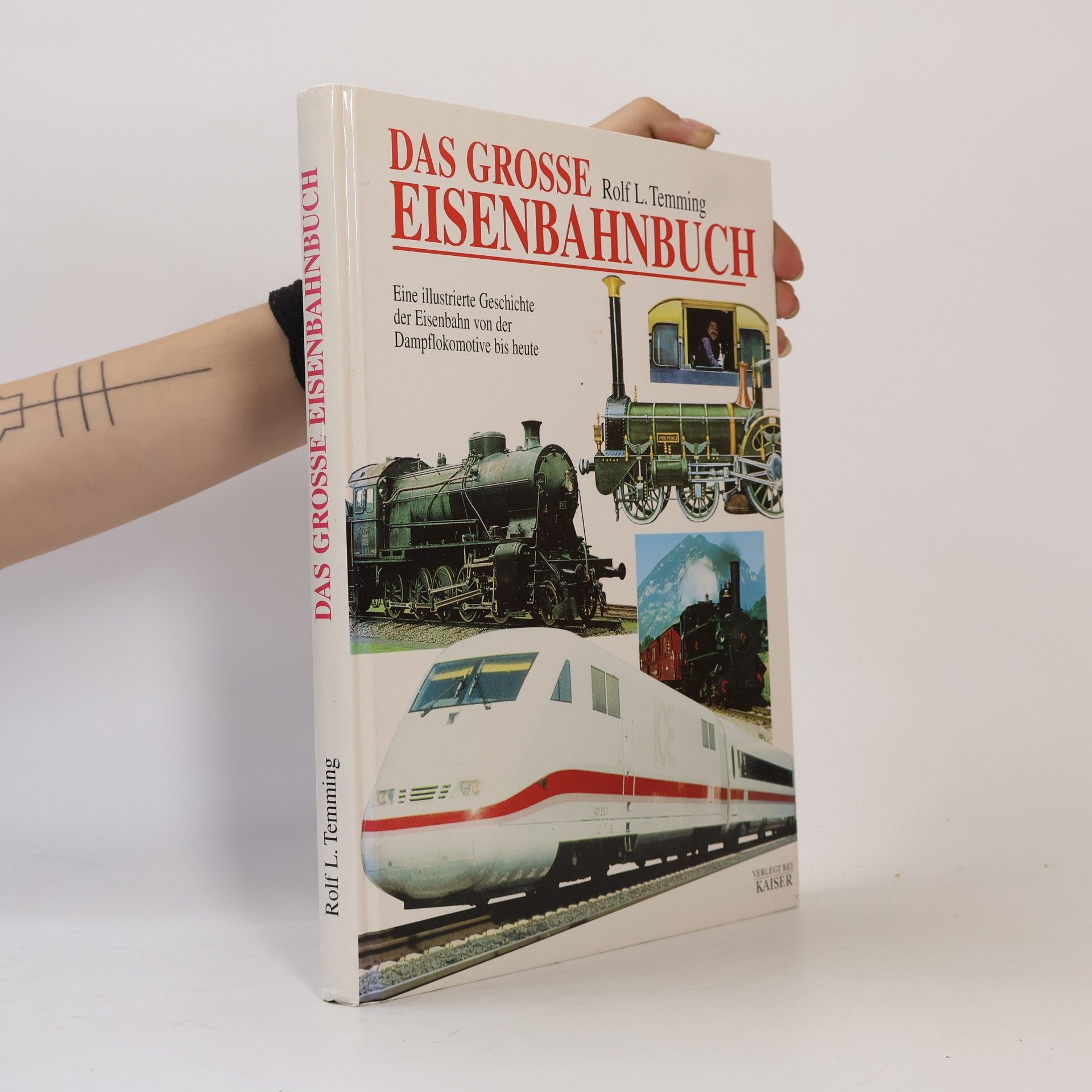 Das grosse Eisenbahnbuch