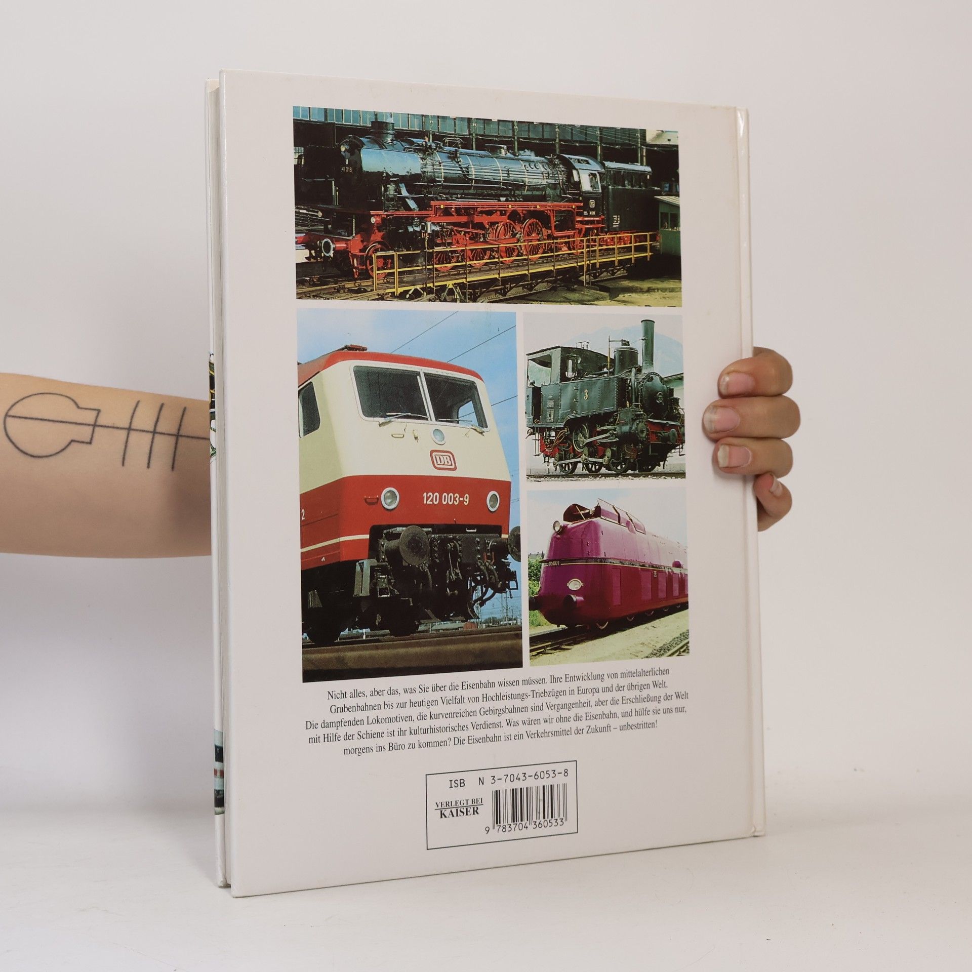 Rolf L. Temming Das grosse Eisenbahnbuch