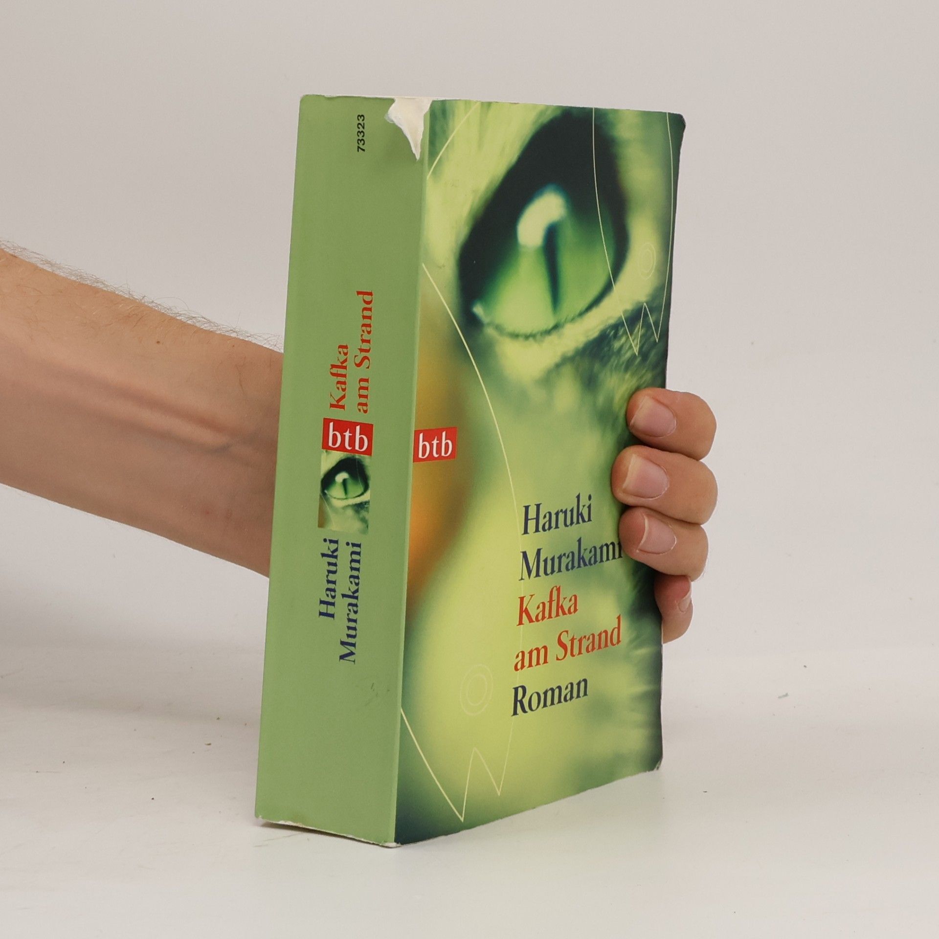 Haruki Murakami Kafka am Strand