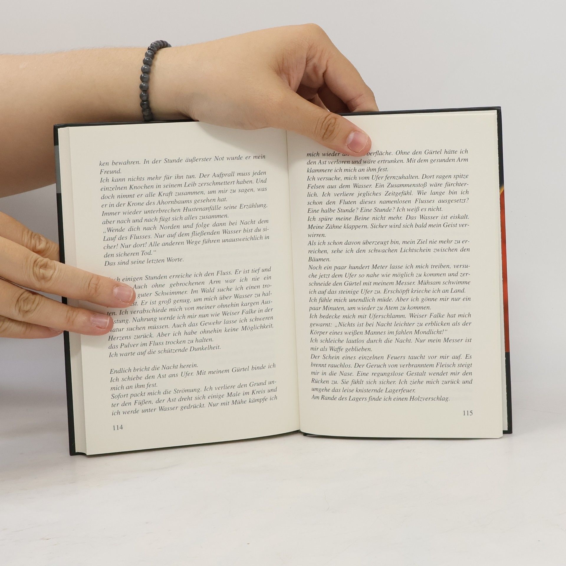 Raimon Weber Point Whitmark 02 - Die rote Hand des Teufels