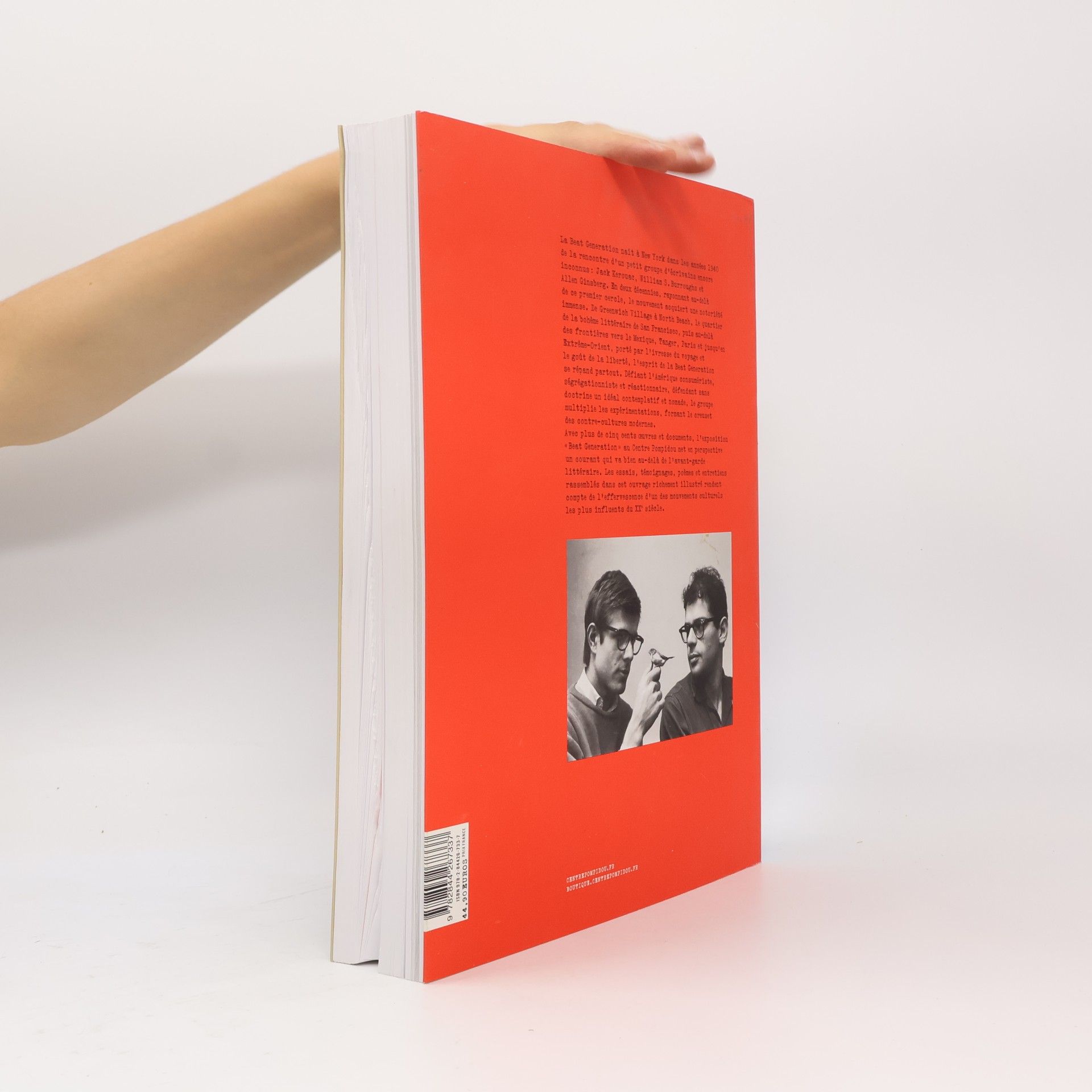 Philippe-Alain Michaud Beat Generation