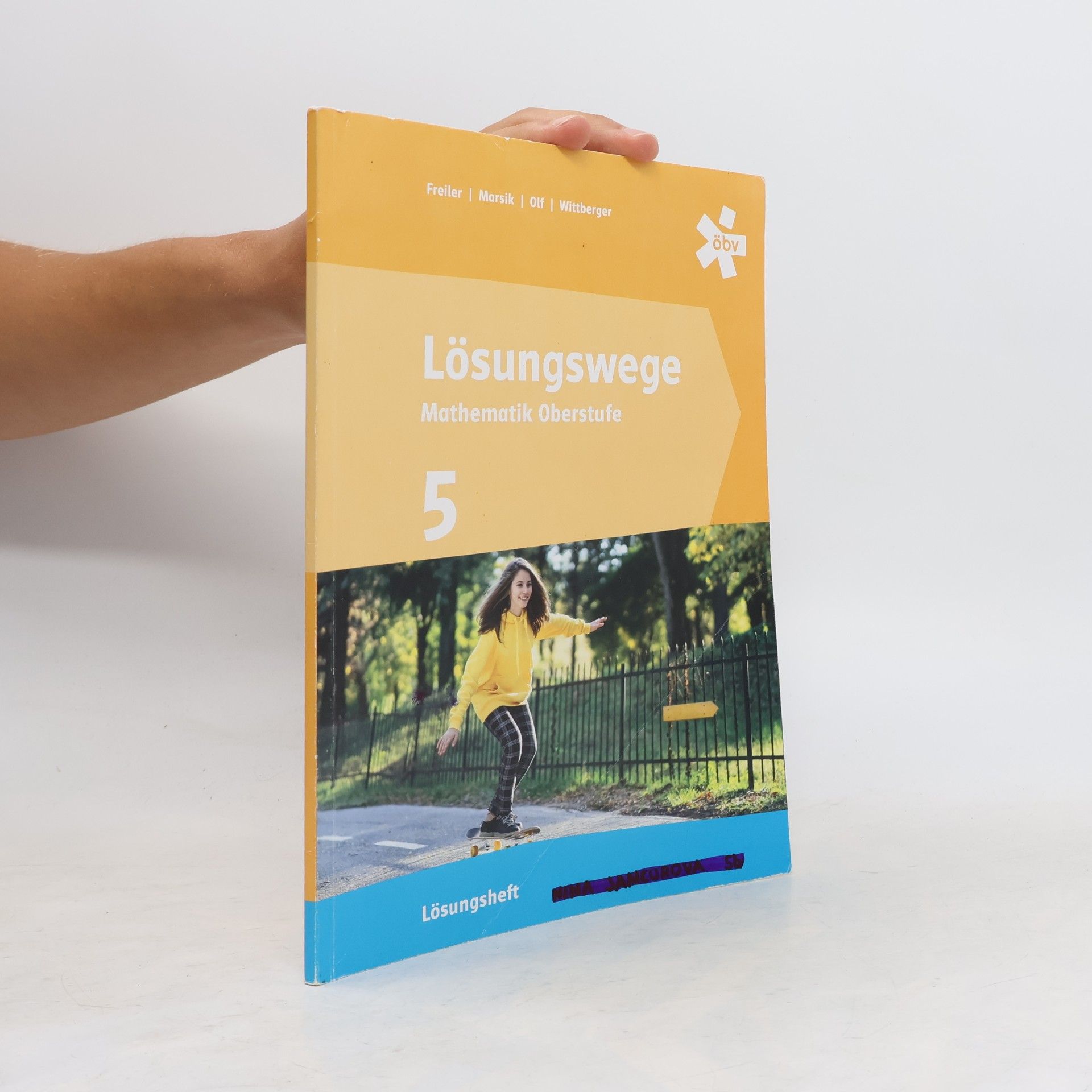 Markus Wittberger Lösungswege Mathematik Oberstufe 5