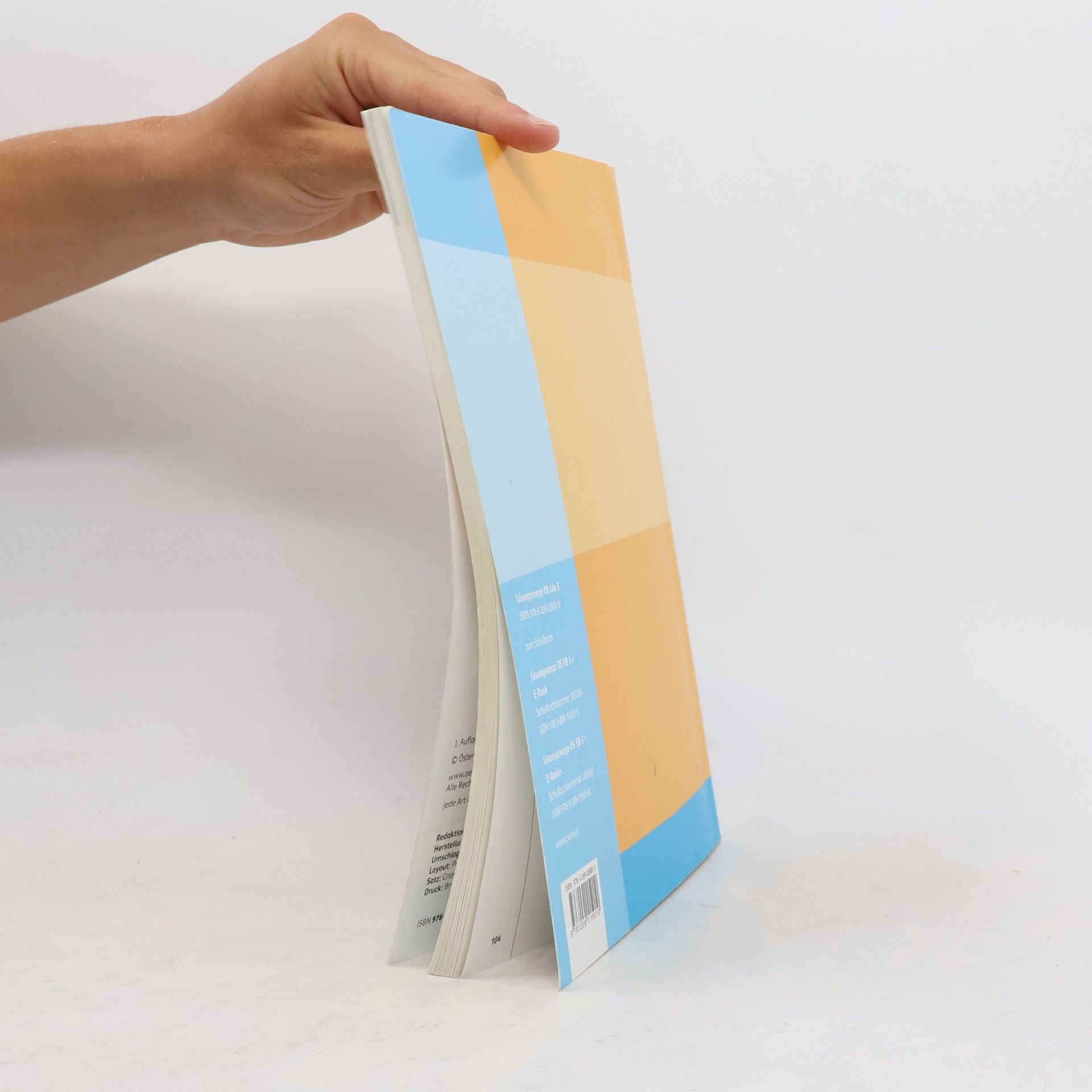 Philipp Freiler Lösungswege Mathematik Oberstufe 5