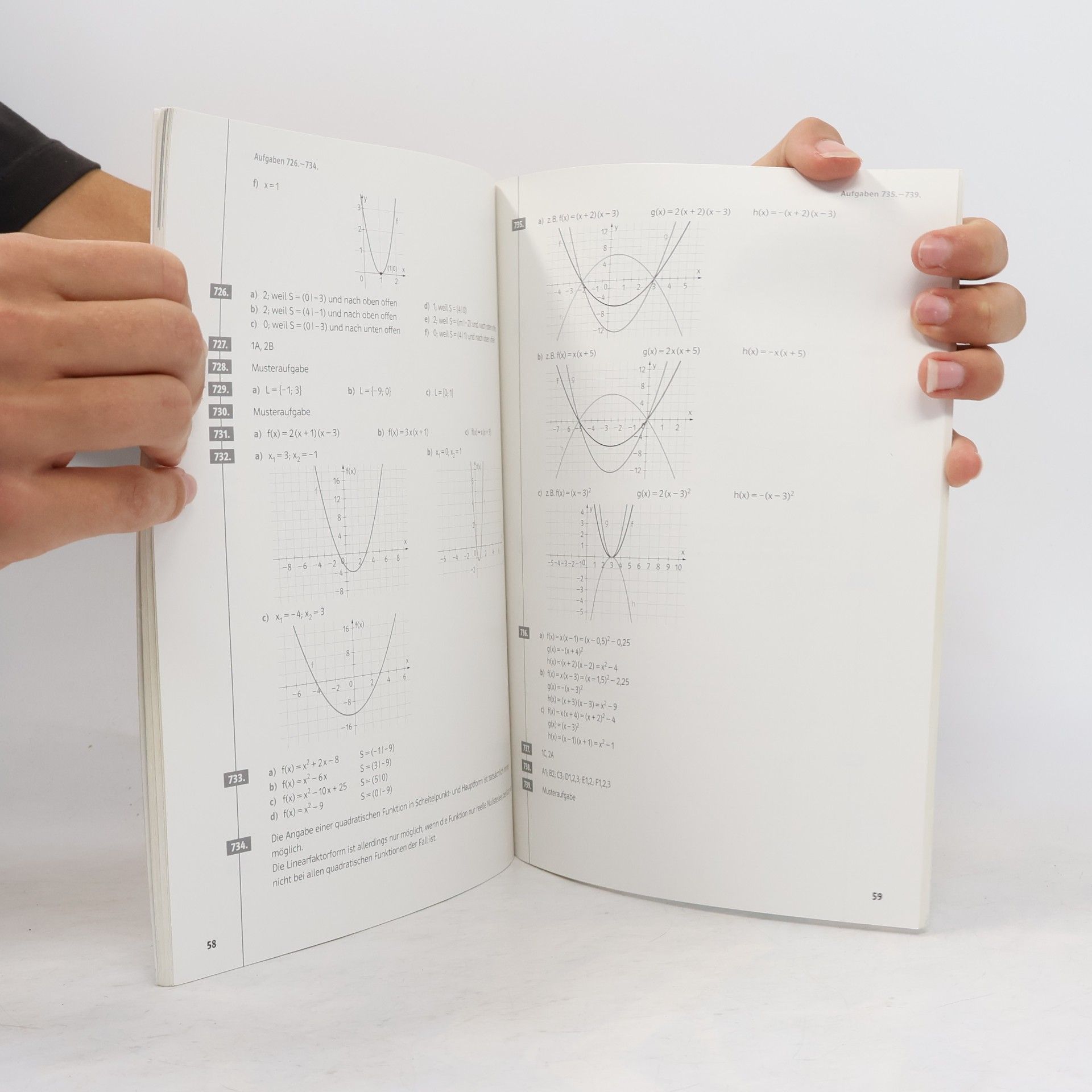 Philipp Freiler Lösungswege Mathematik Oberstufe 5