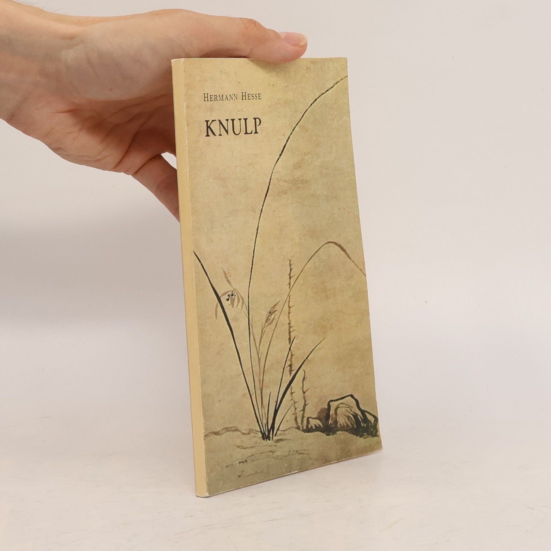 Hermann Hesse Knulp