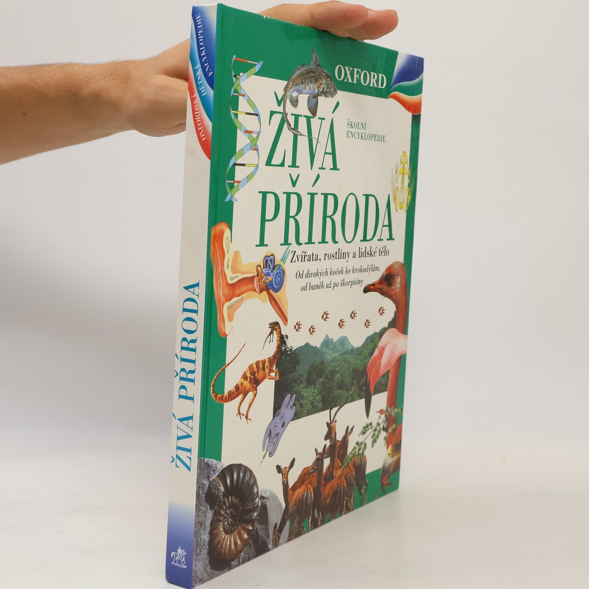 Markéta Hadačová Živá příroda