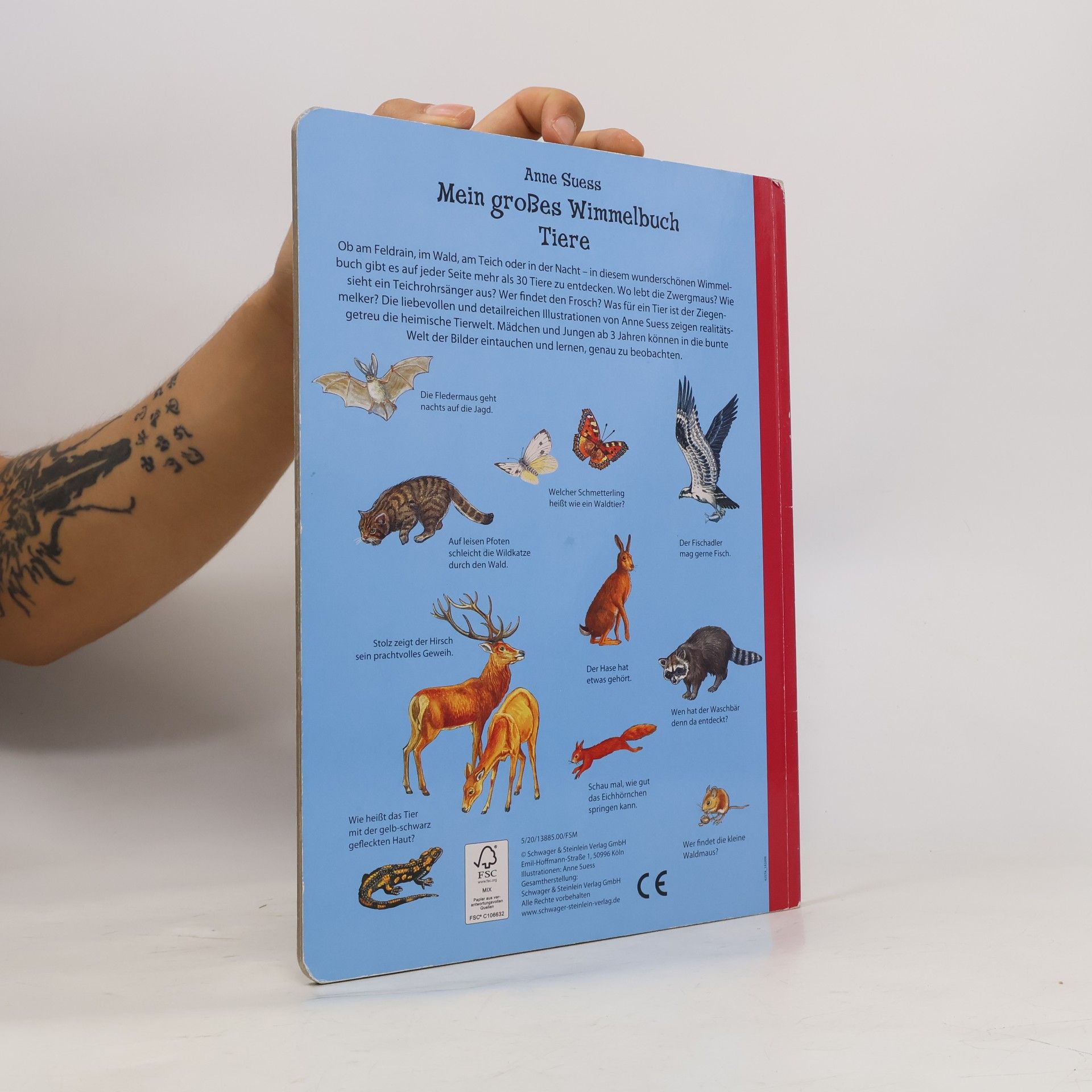 Anne Suess Mein grosses Wimmelbuch Tiere
