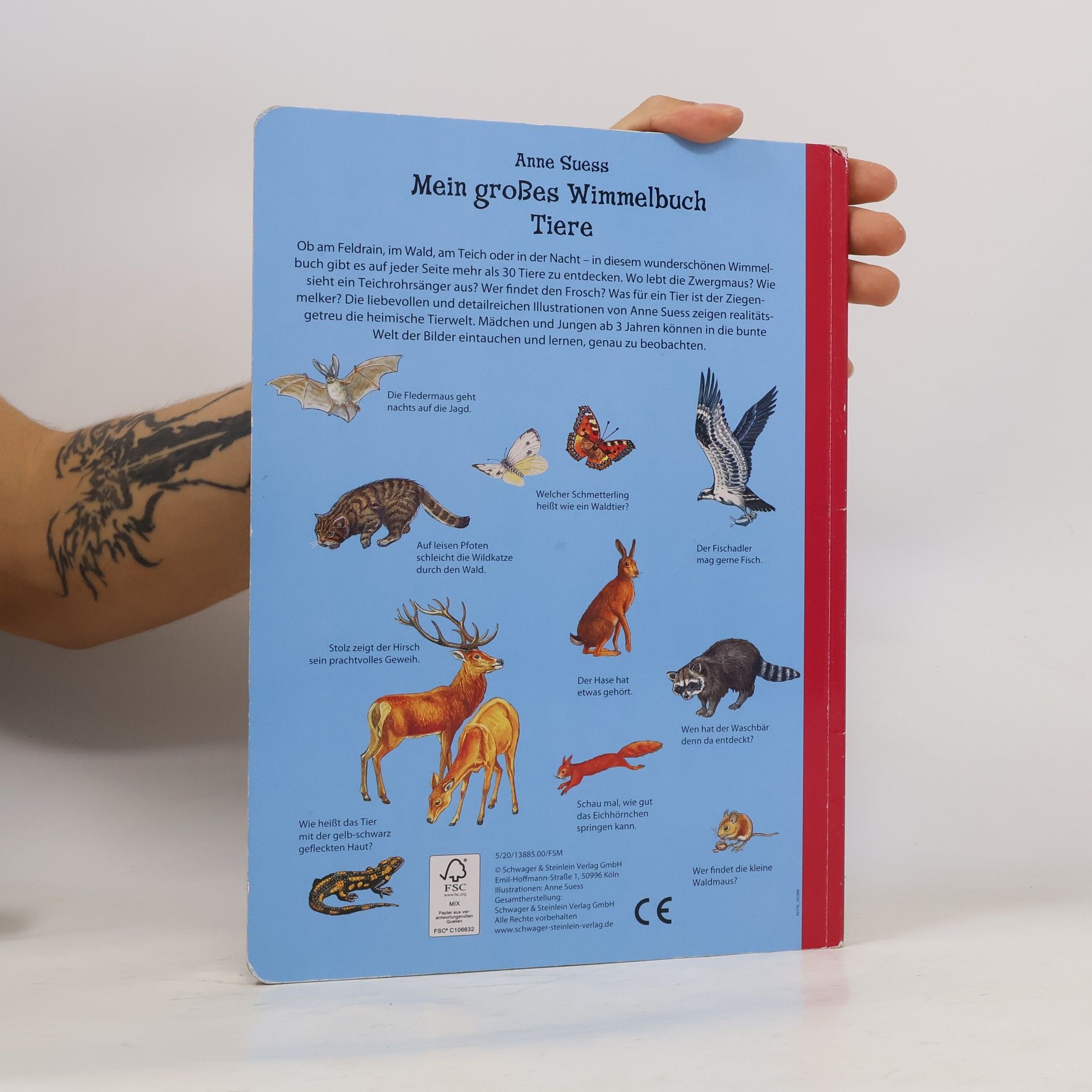 Anne Suess Mein grosses Wimmelbuch Tiere