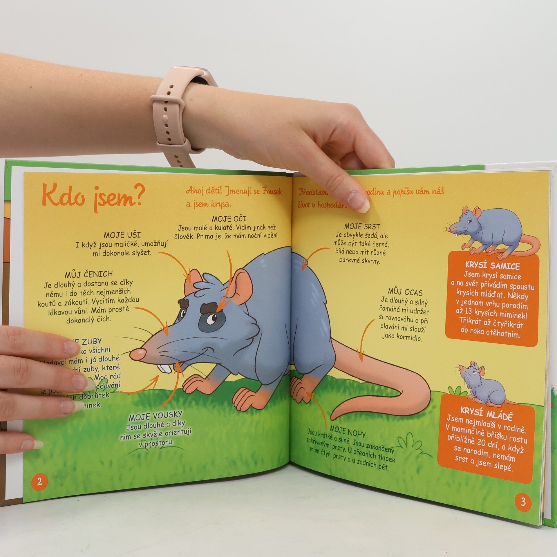 Various authors Na pastvě 56. Krysa, myš a krtek