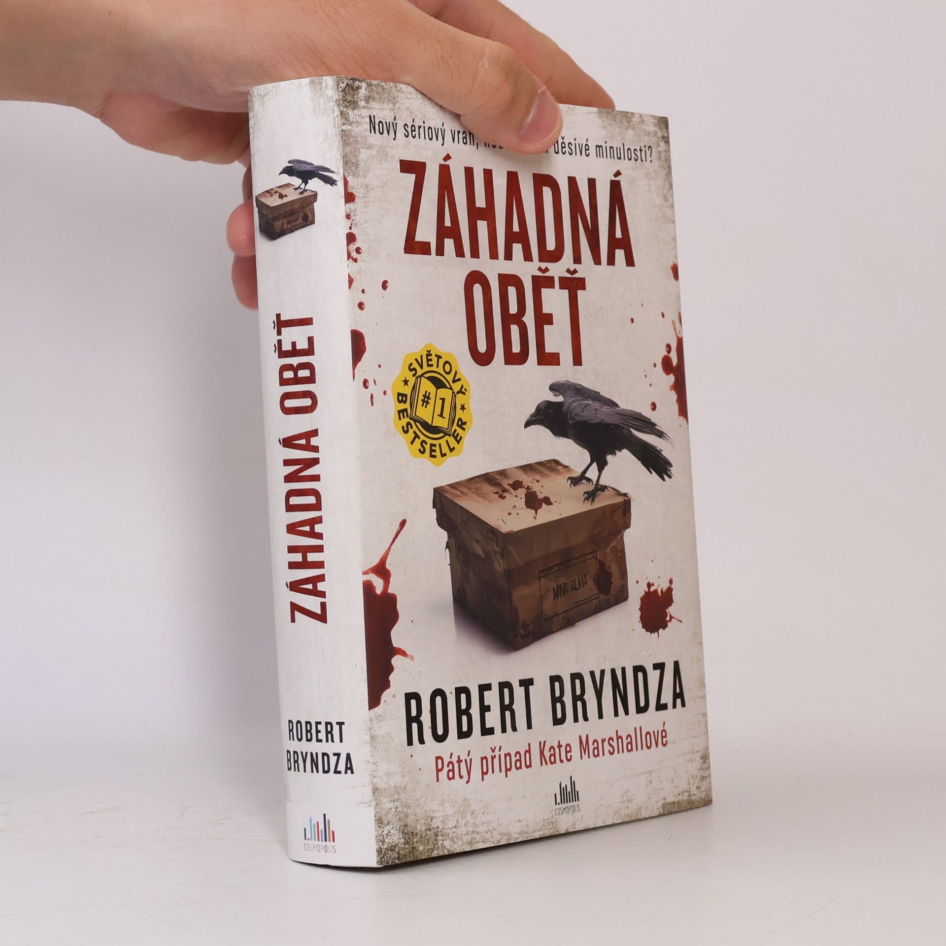 Robert Bryndza Záhadná oběť