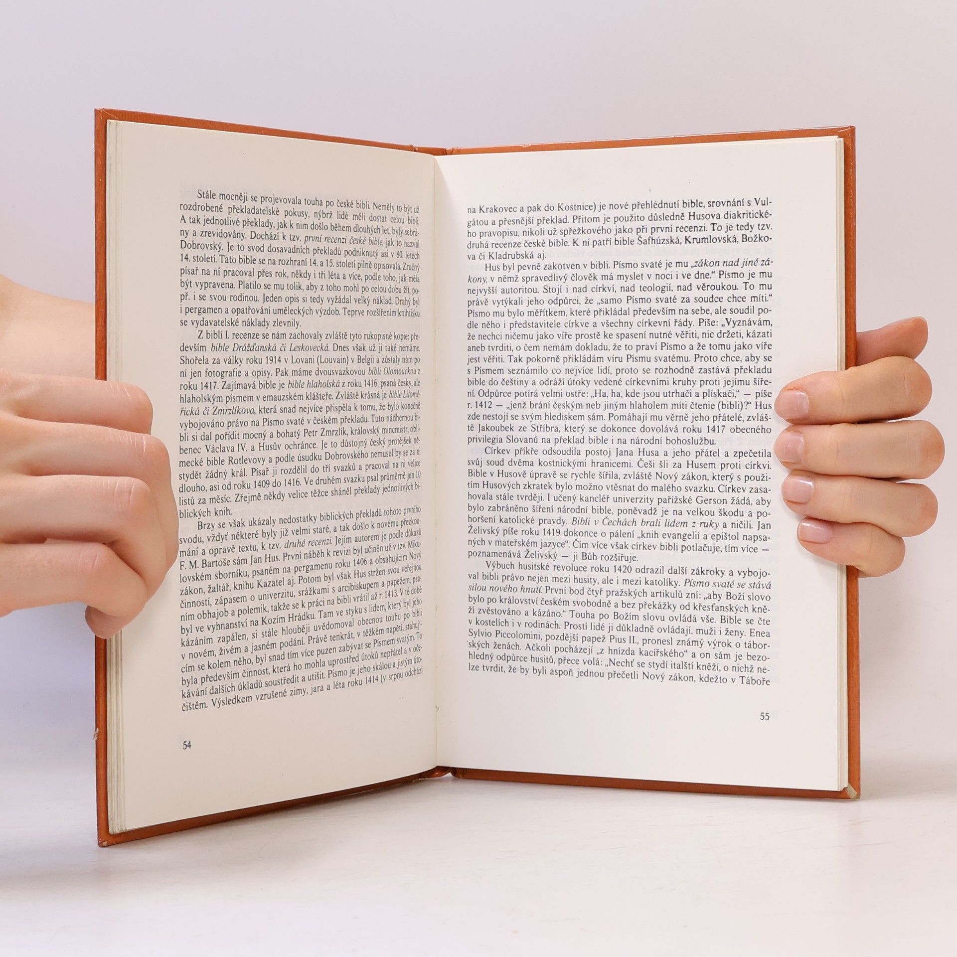 Vladimír Čapek Historie bible