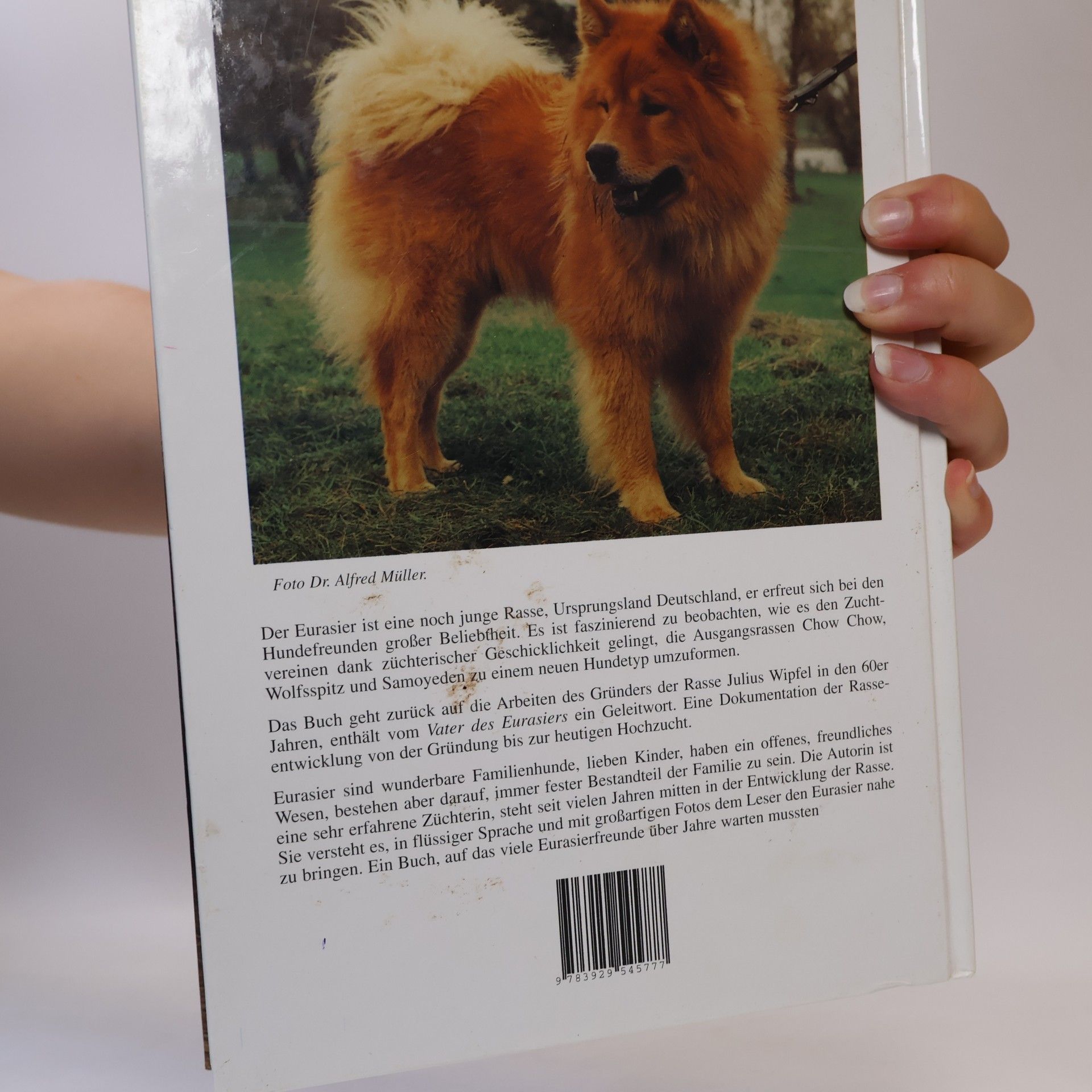 Annelie Feder Eurasier - Heute