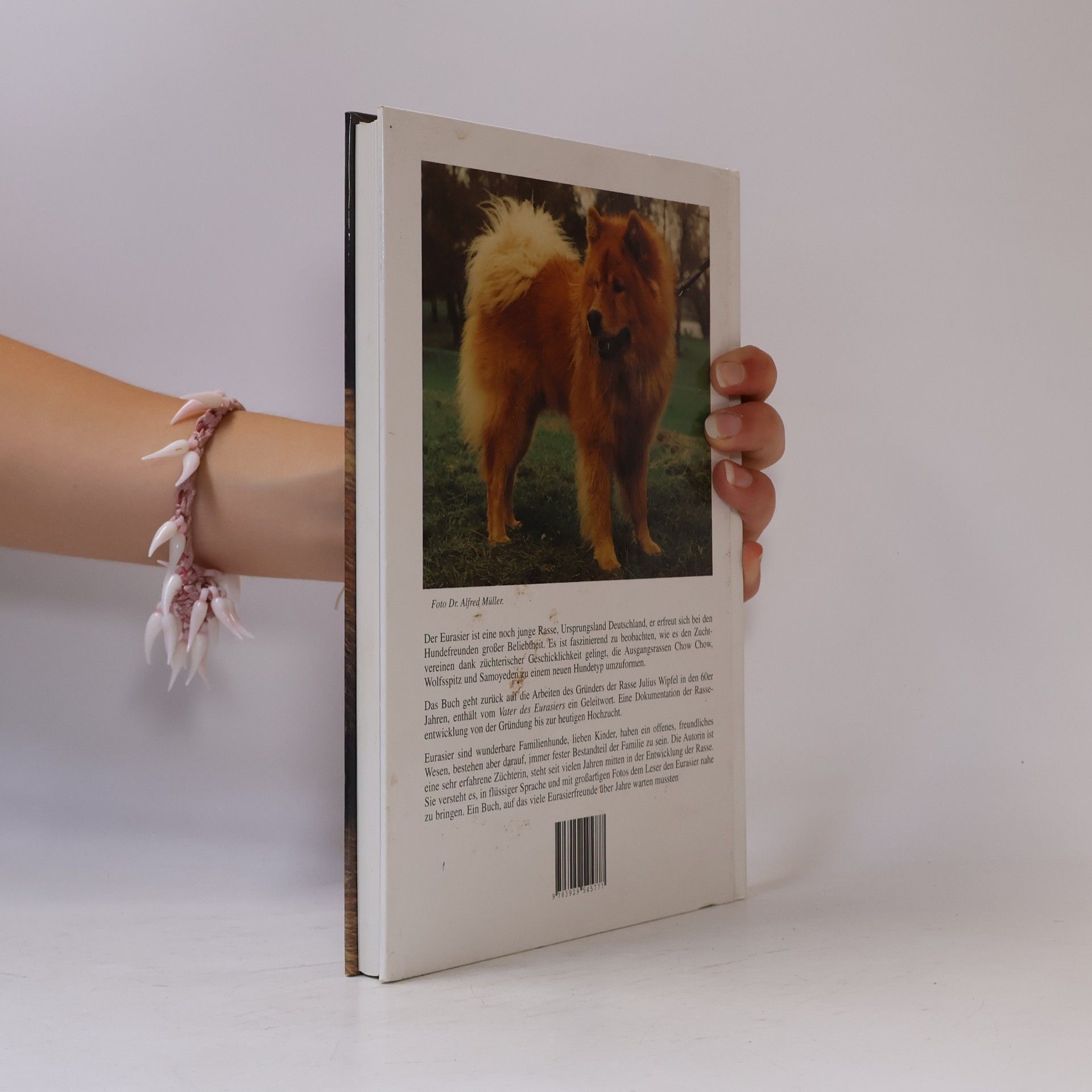 Annelie Feder Eurasier - Heute