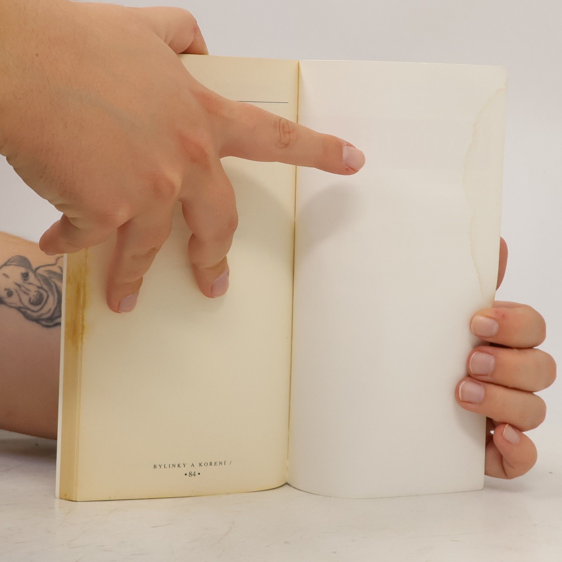 Autorenkollektiv Koření a bylinky v kuchyni