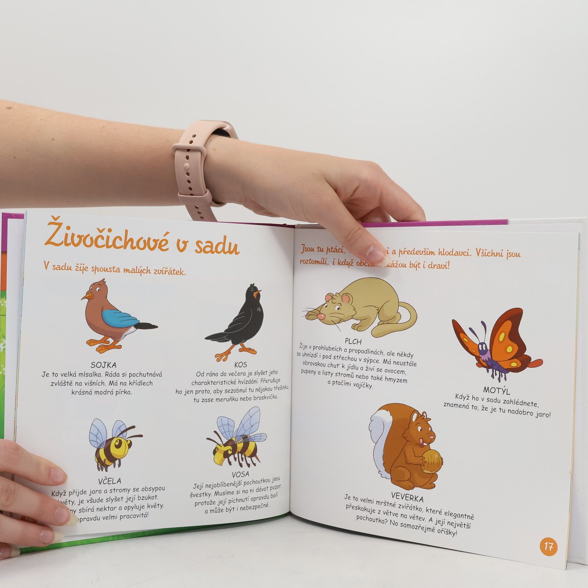 Autores varios Výrobky z venkova 52. Ovoce