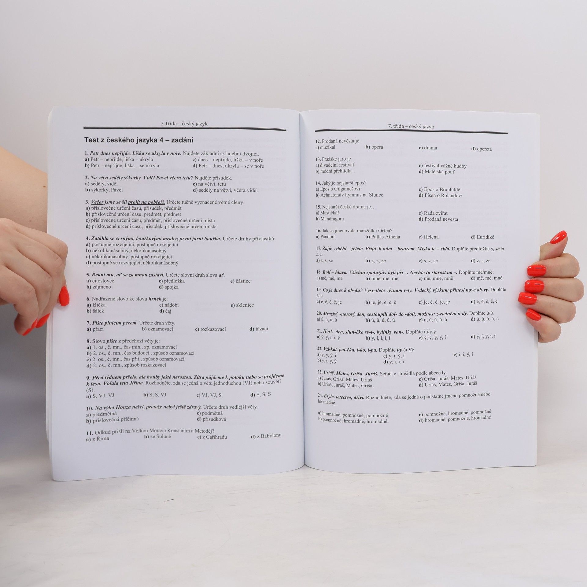 Autorenkollektiv Testy z českého jazyka pro žáky 7. tříd. 2. část