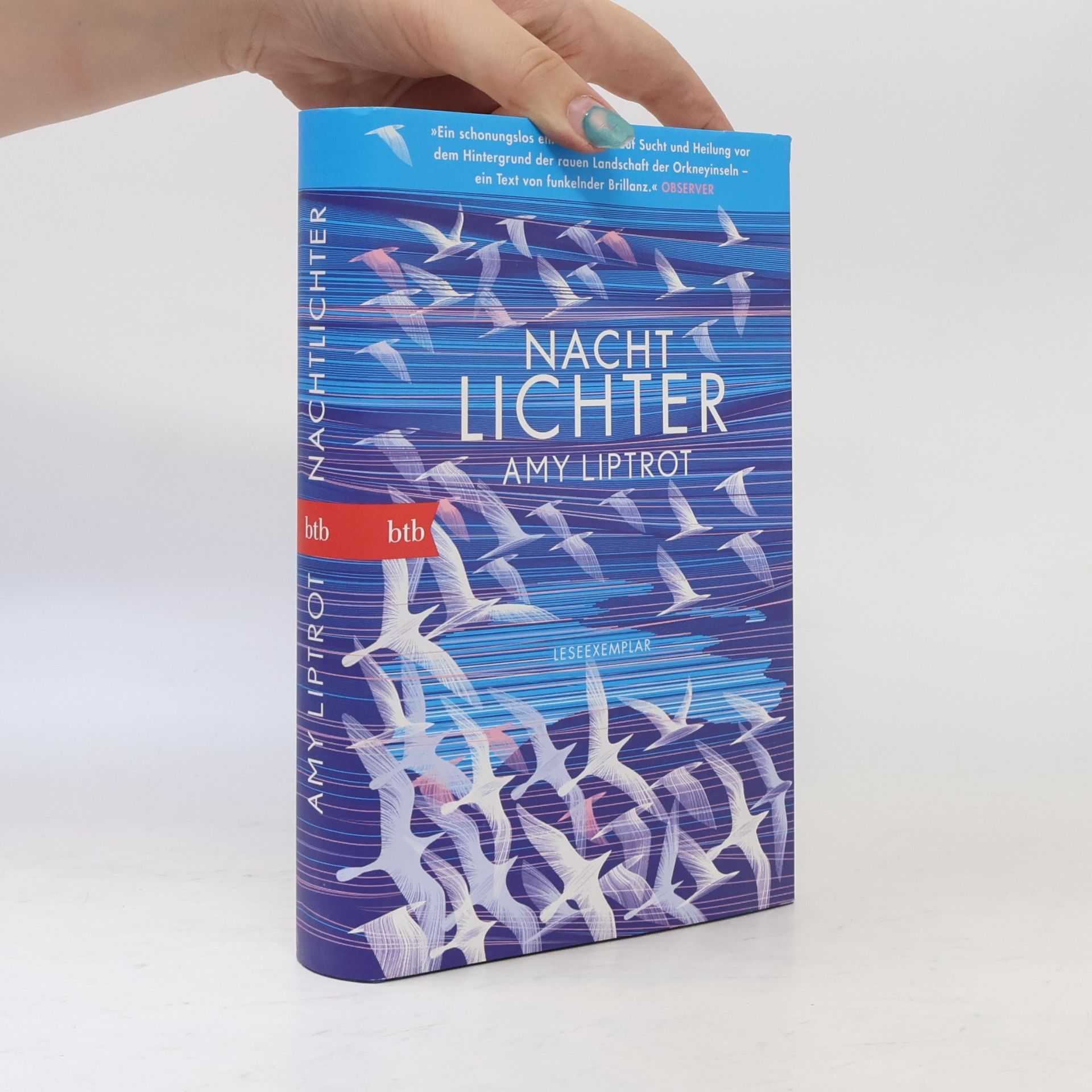 Amy Liptrot Nachtlichter