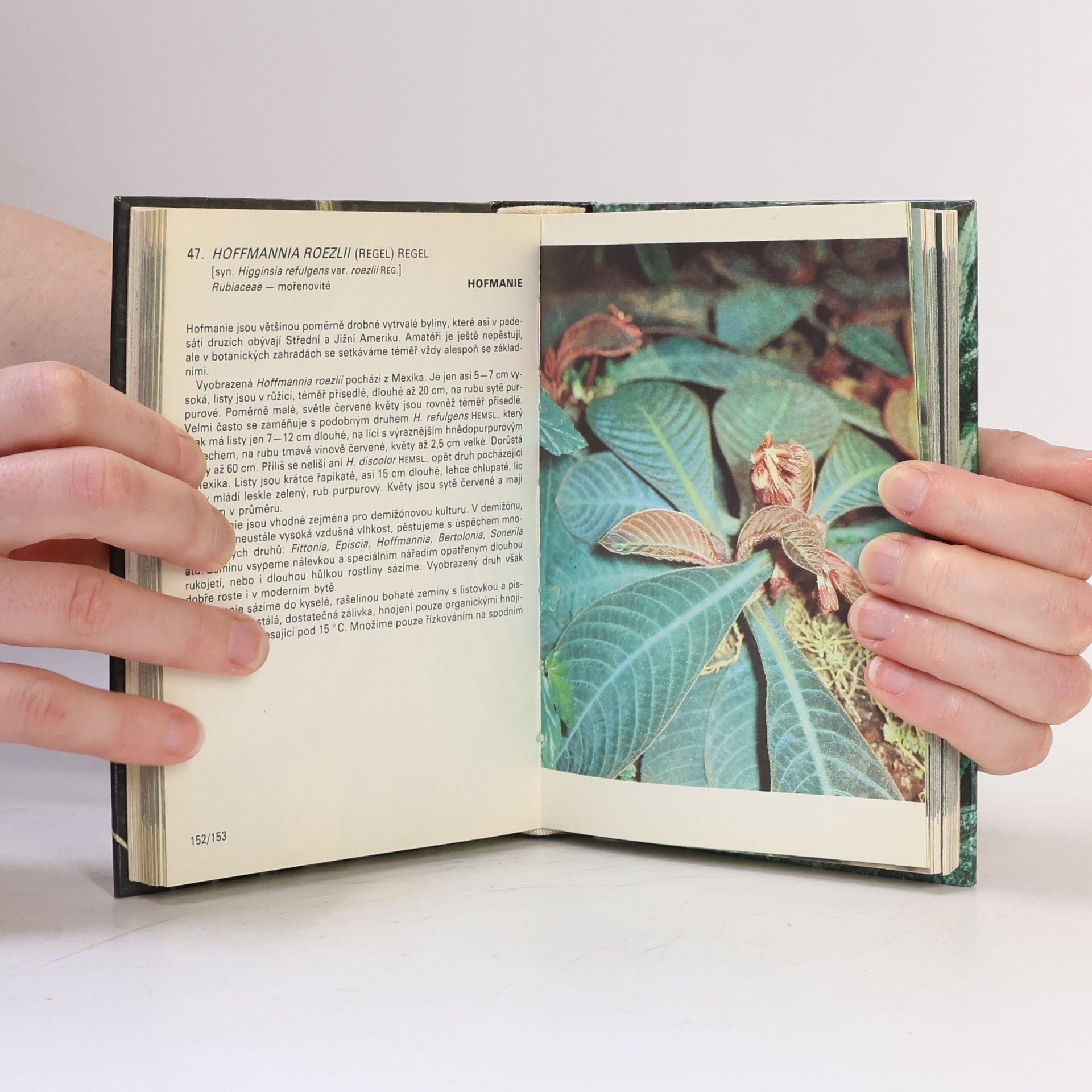 Jiří R. Haager Kapesní atlas pěstovaných exotických rostlin