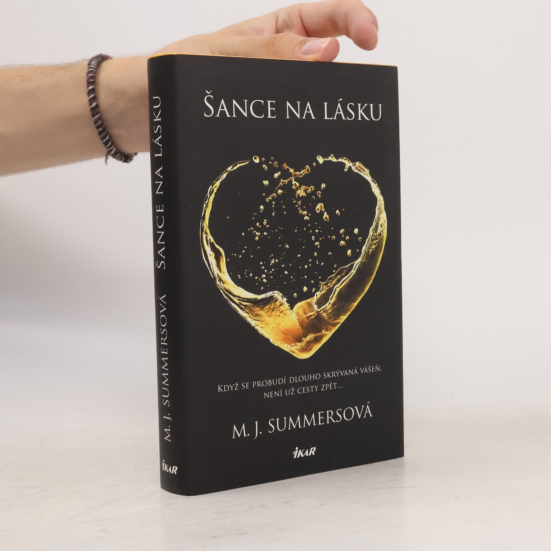M. J. Summers Šance na lásku