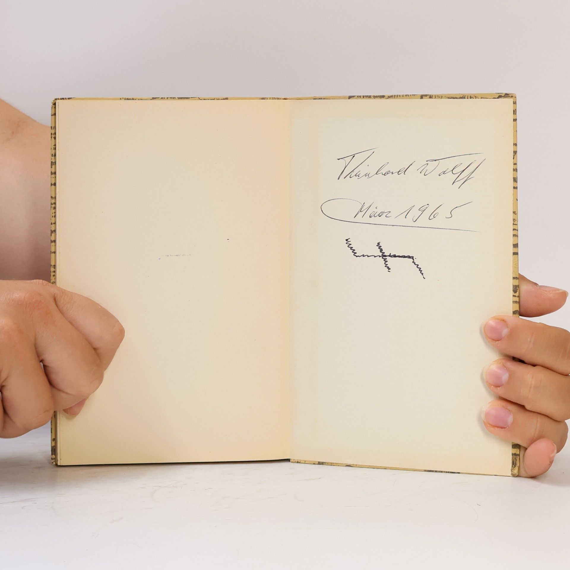 Lew Nikolajewitsch Tolstoi Der Tod des Iwan Iljitsch