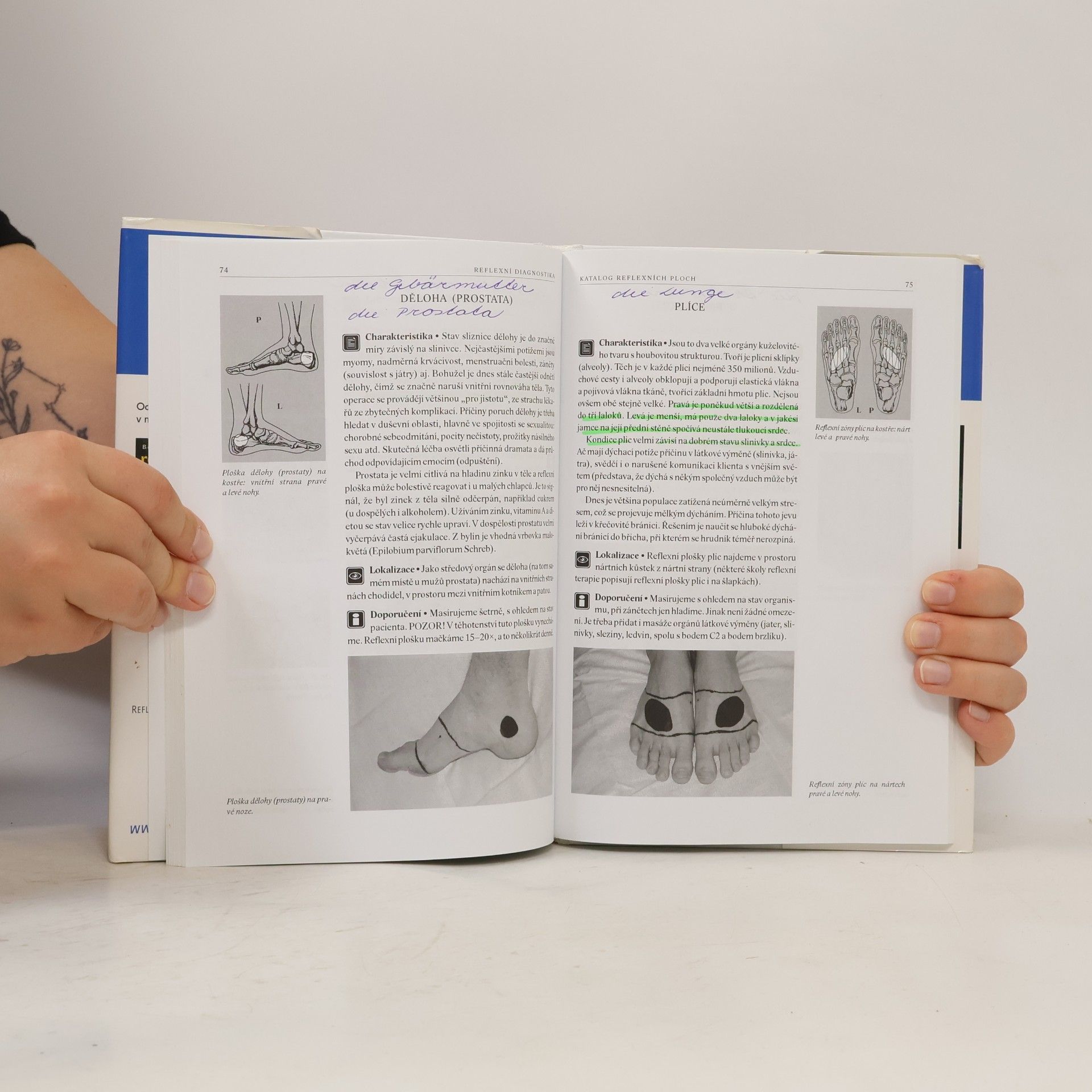 Beáta Patakyová Reflexní diagnostika a katalog reflexních ploch
