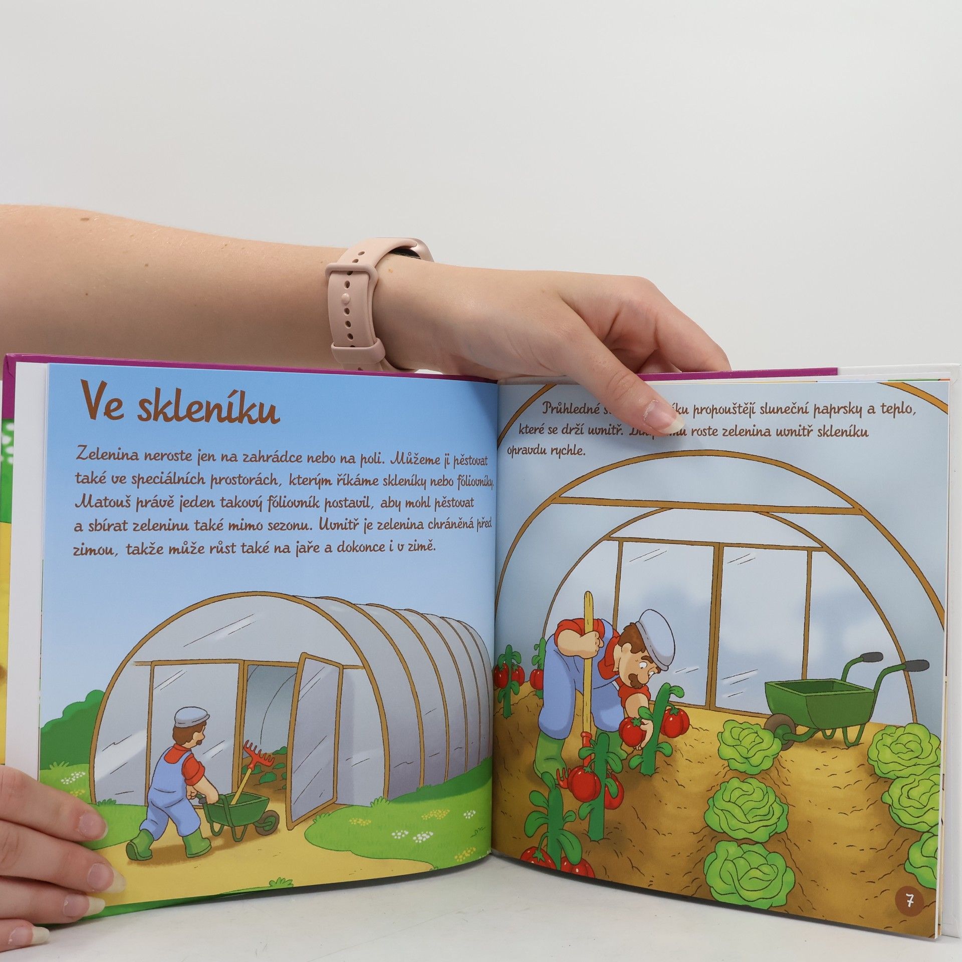 Autores varios Výrobky z venkova 58. Zelenina