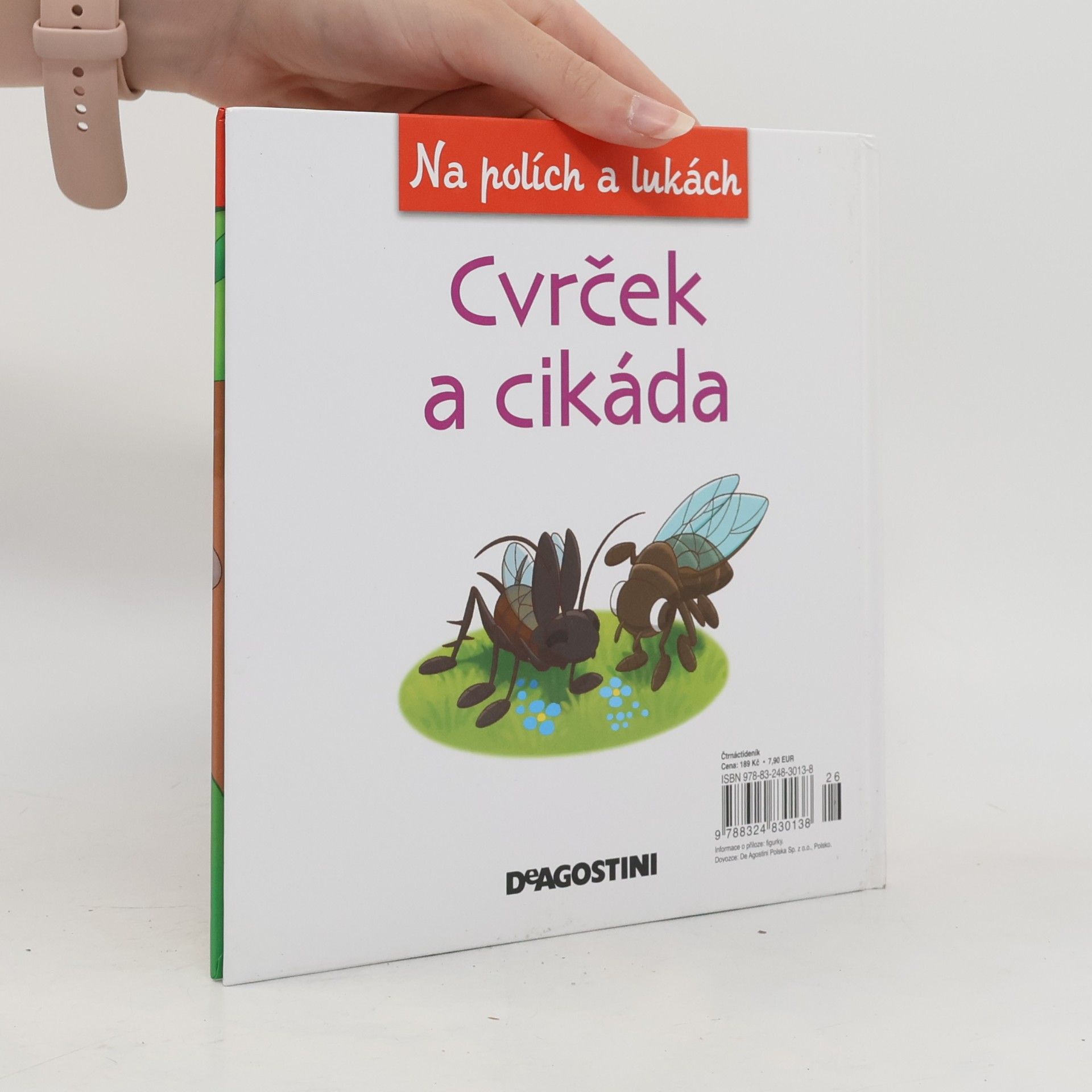 Amelia Bruni Cvrček a cikáda 62