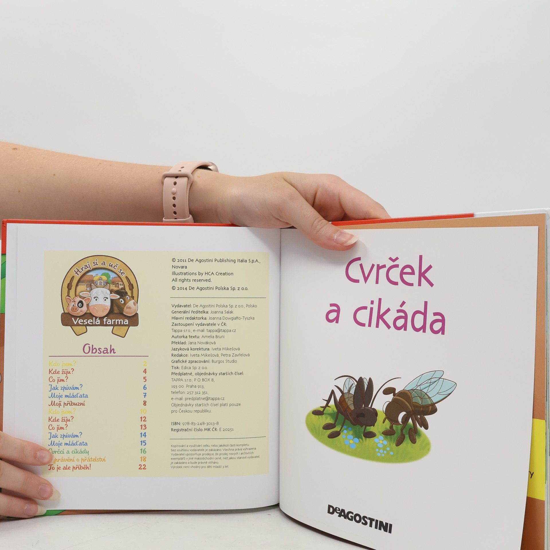 Amelia Bruni Cvrček a cikáda 62
