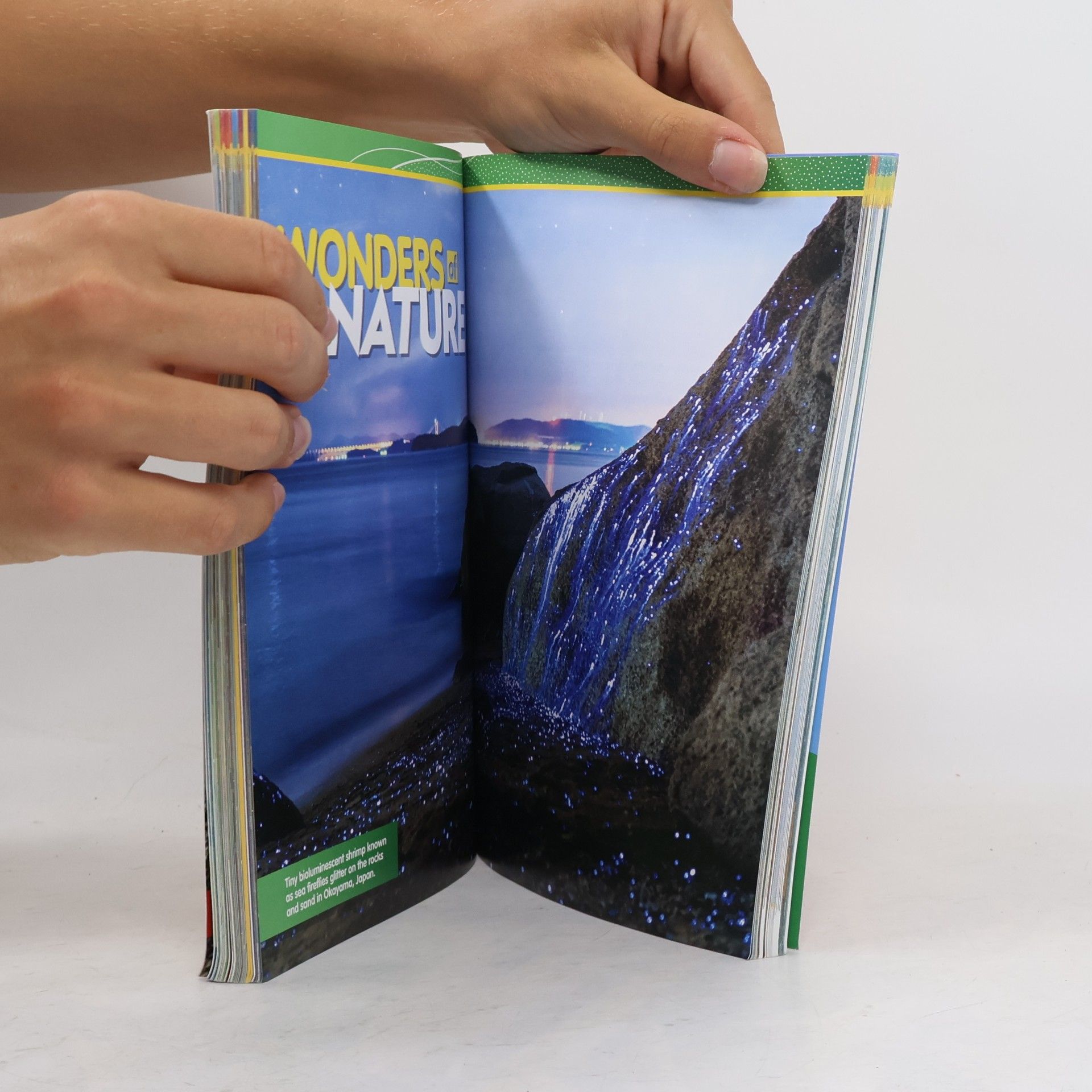 Various authors National Geographic Kids Almanac 2022, International Edition