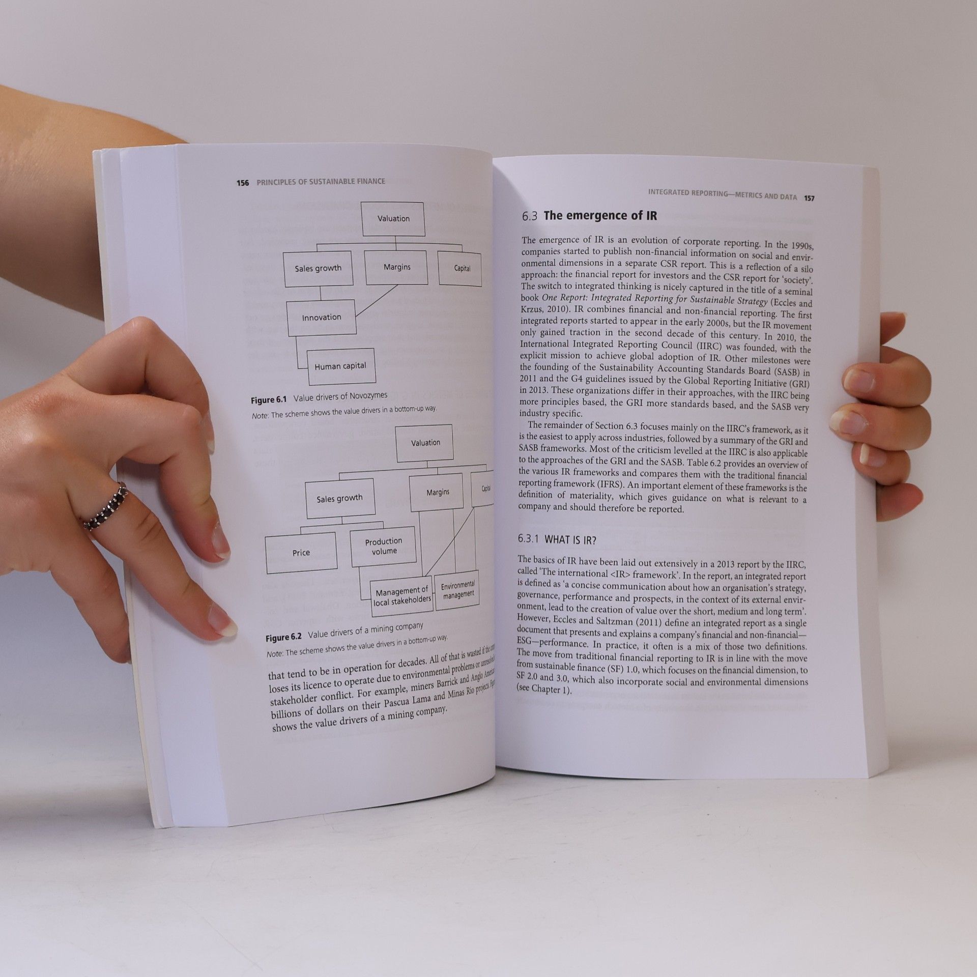 Dirk Schoenmaker Principles of Sustainable Finance