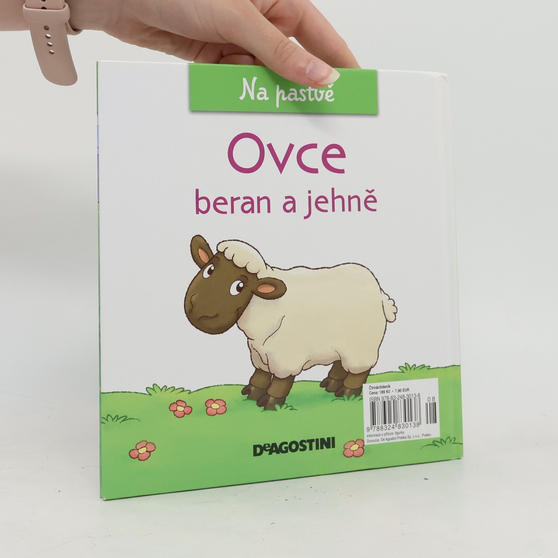 Kolektiv autorů Na pastvě 53. Ovce