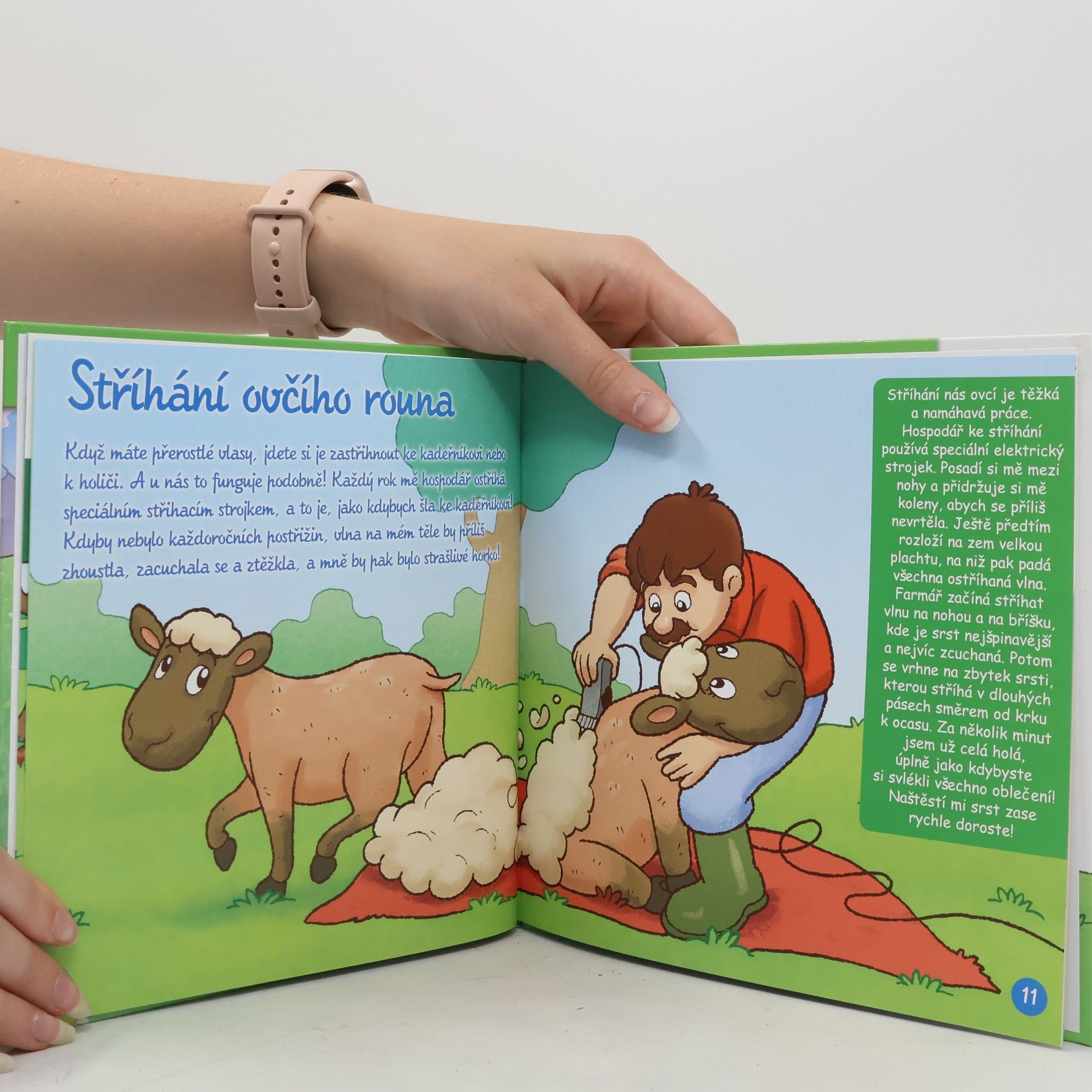 Kolektiv autorů Na pastvě 53. Ovce