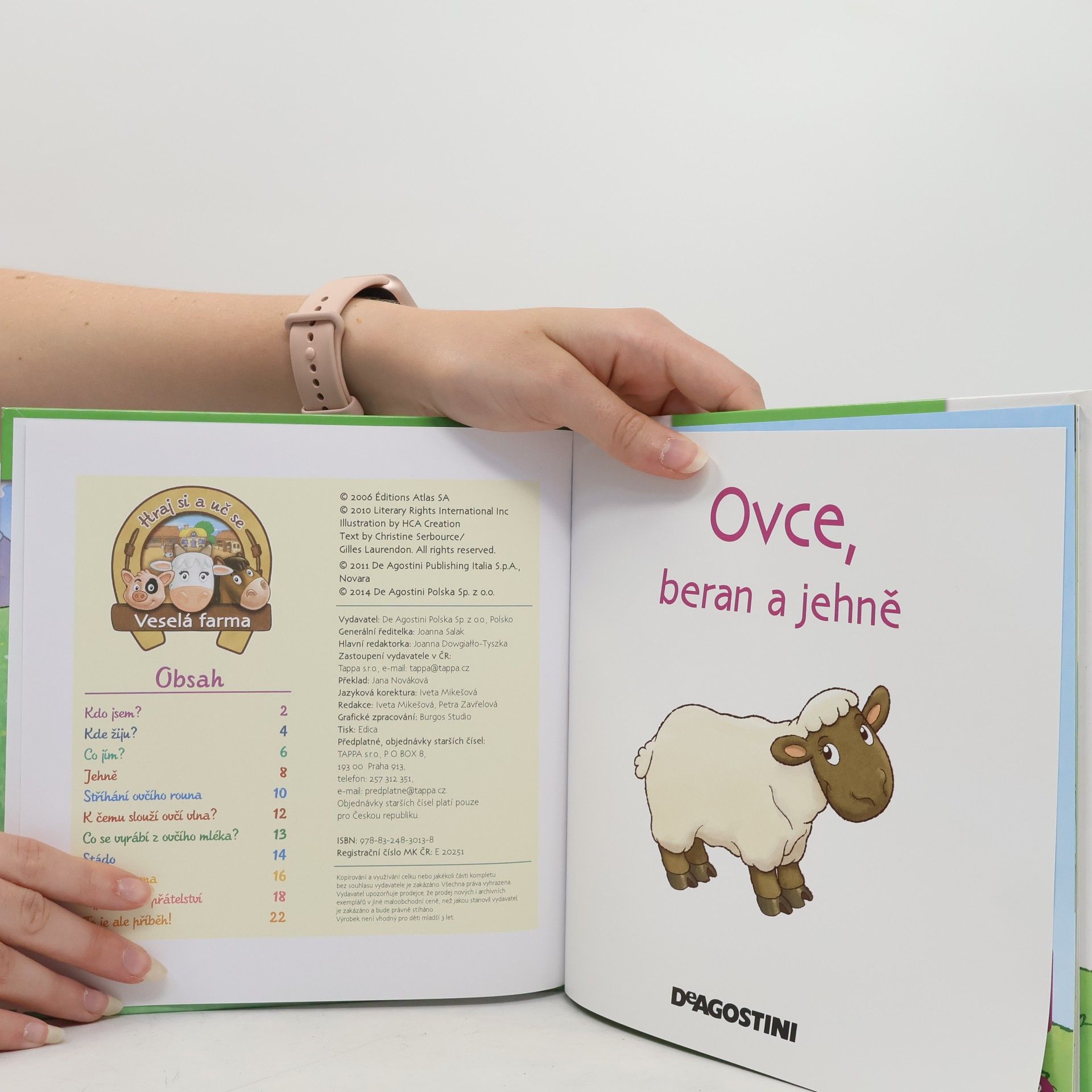 Kolektiv autorů Na pastvě 53. Ovce