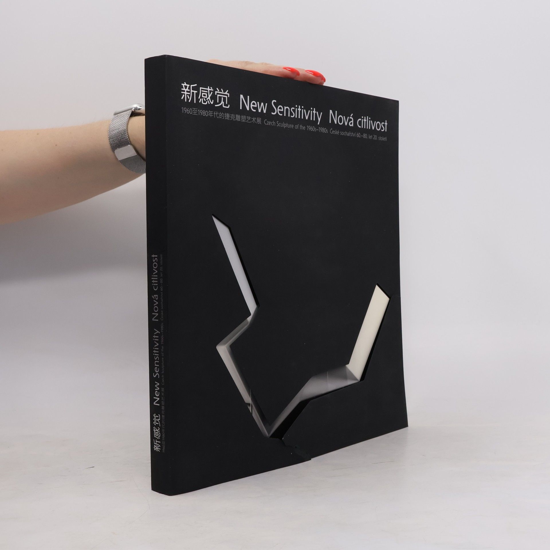Autorenkollektiv 新感觉. New Sensitivity. Nová citlivost