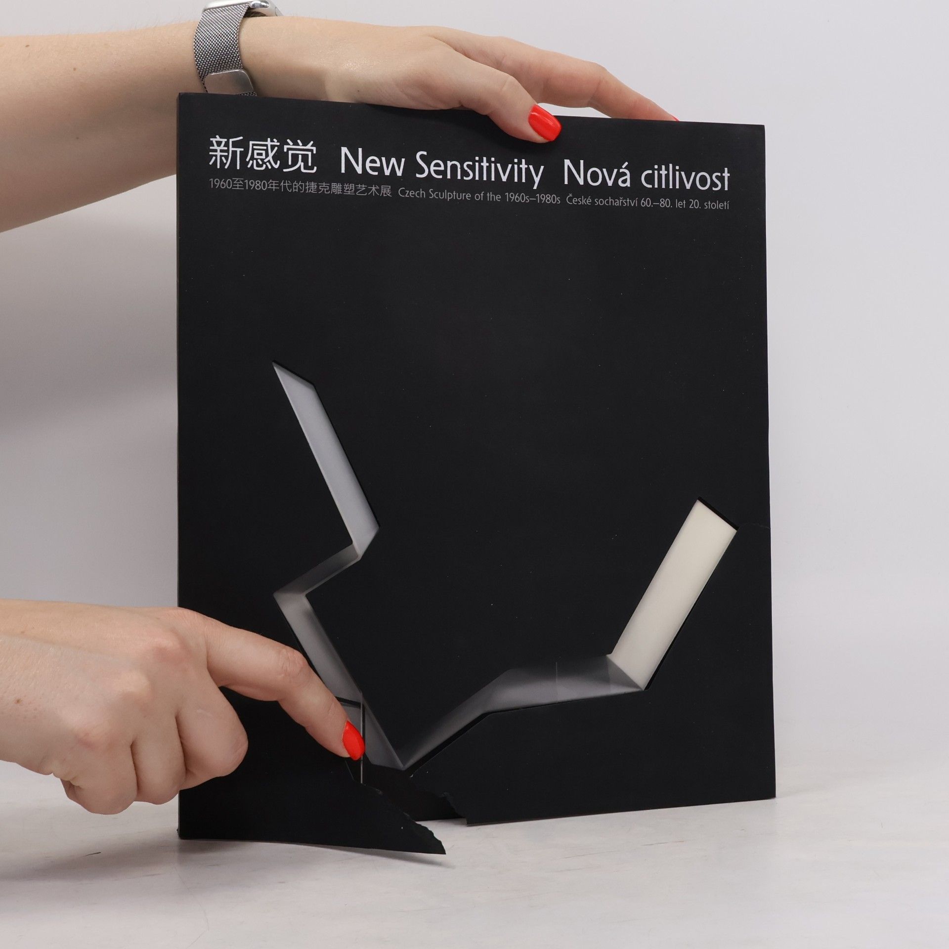 Autorenkollektiv 新感觉. New Sensitivity. Nová citlivost