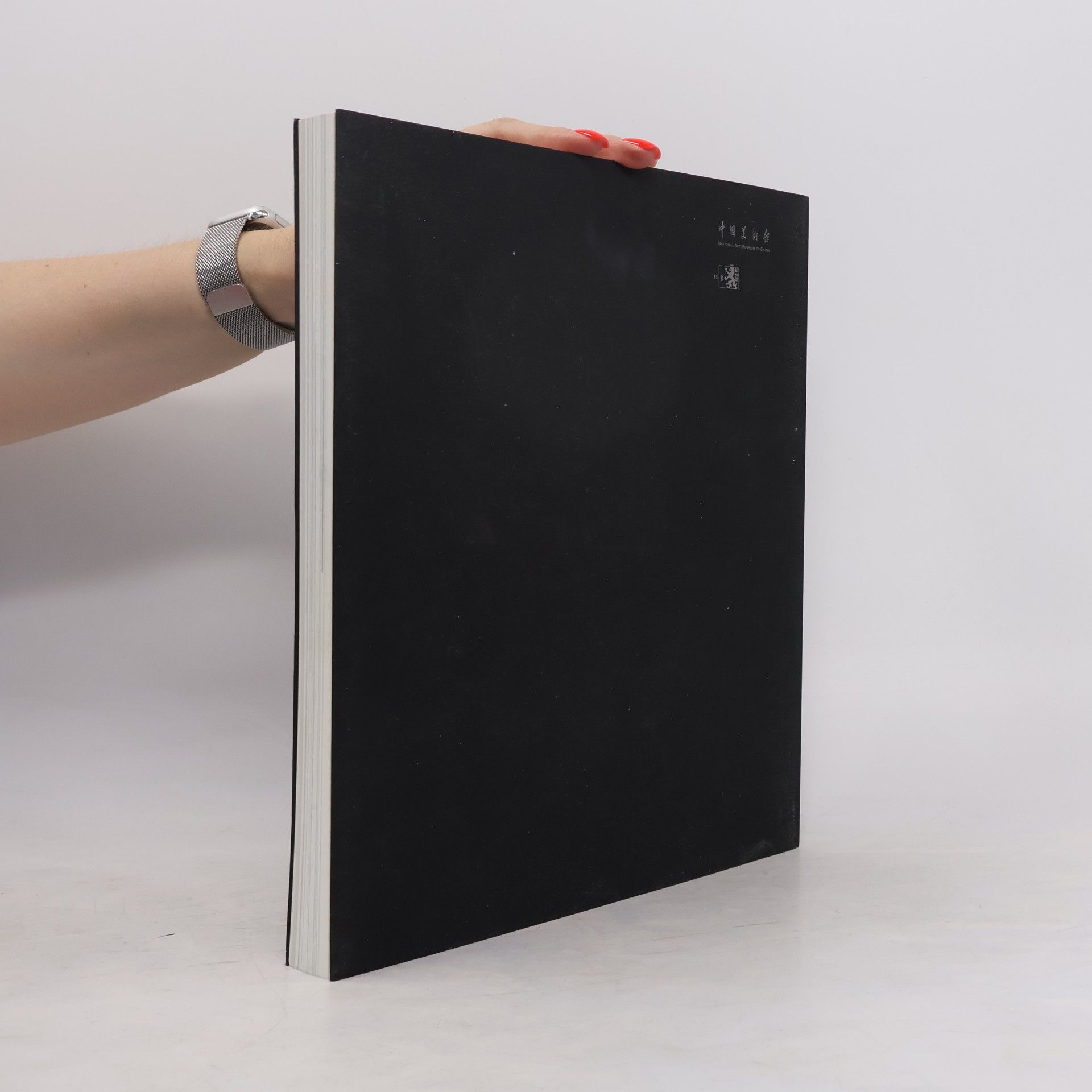 Autorenkollektiv 新感觉. New Sensitivity. Nová citlivost