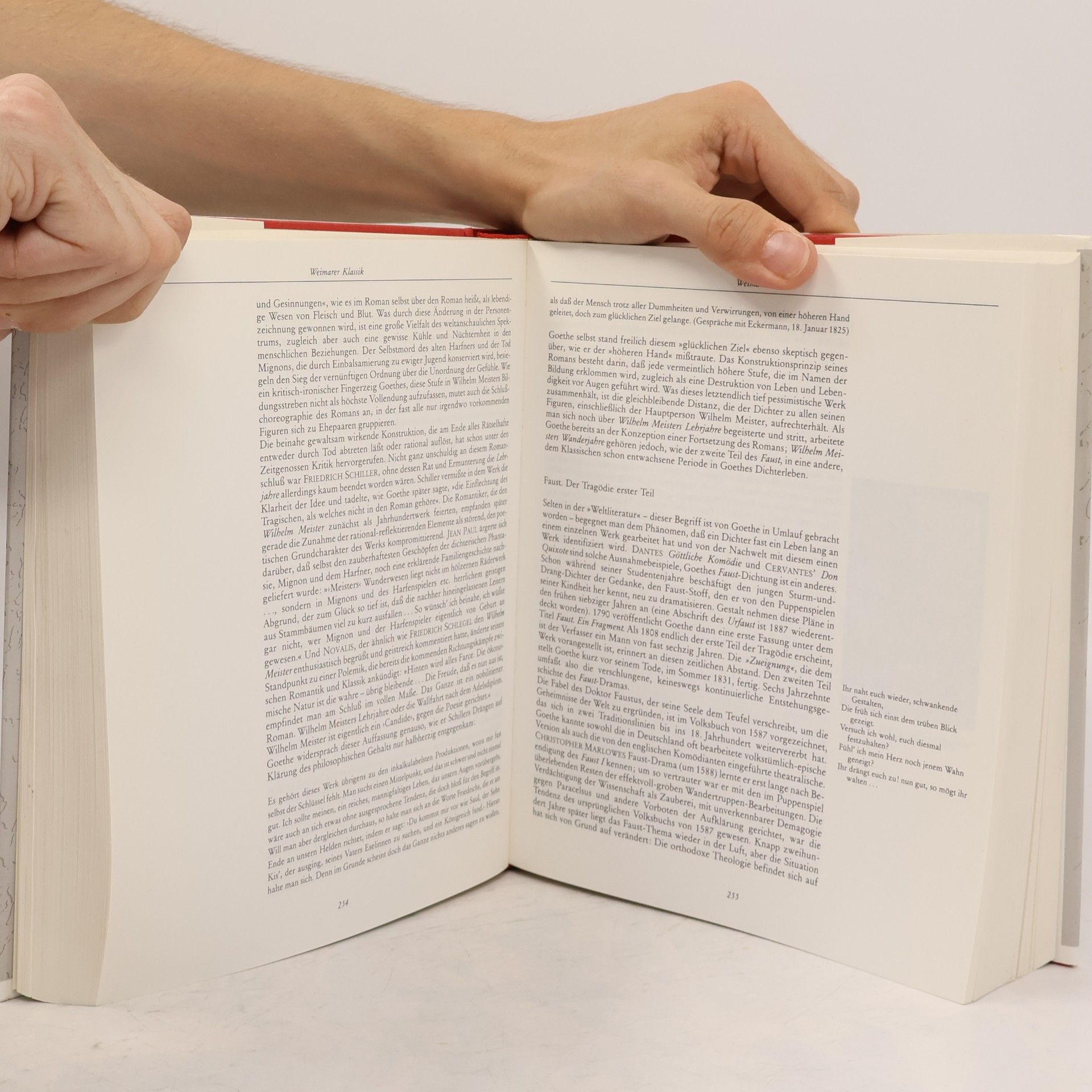 Lerke von Saalfeld Geschichte der deutschen Literatur