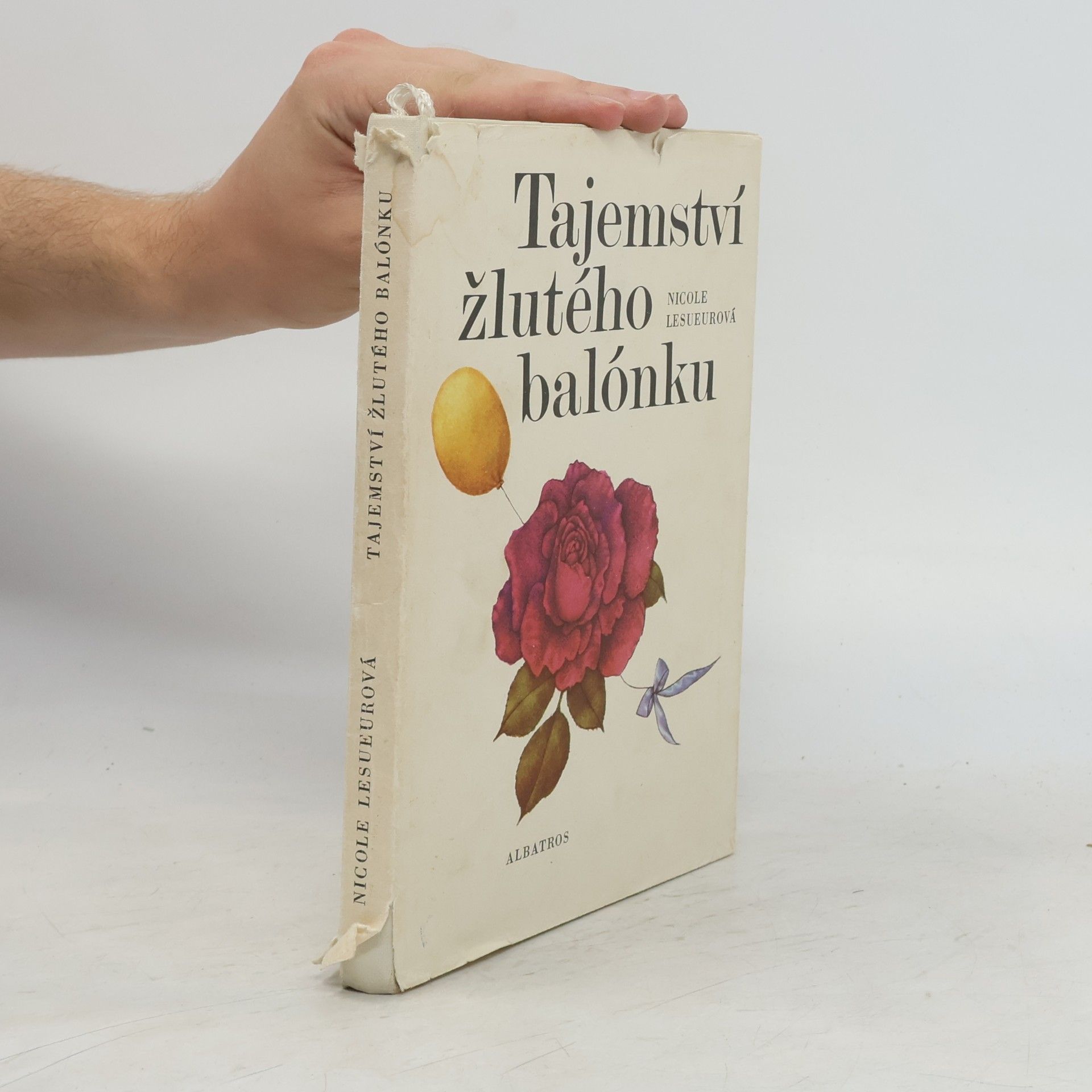 Nicole Lesueur Tajemství žlutého balónku