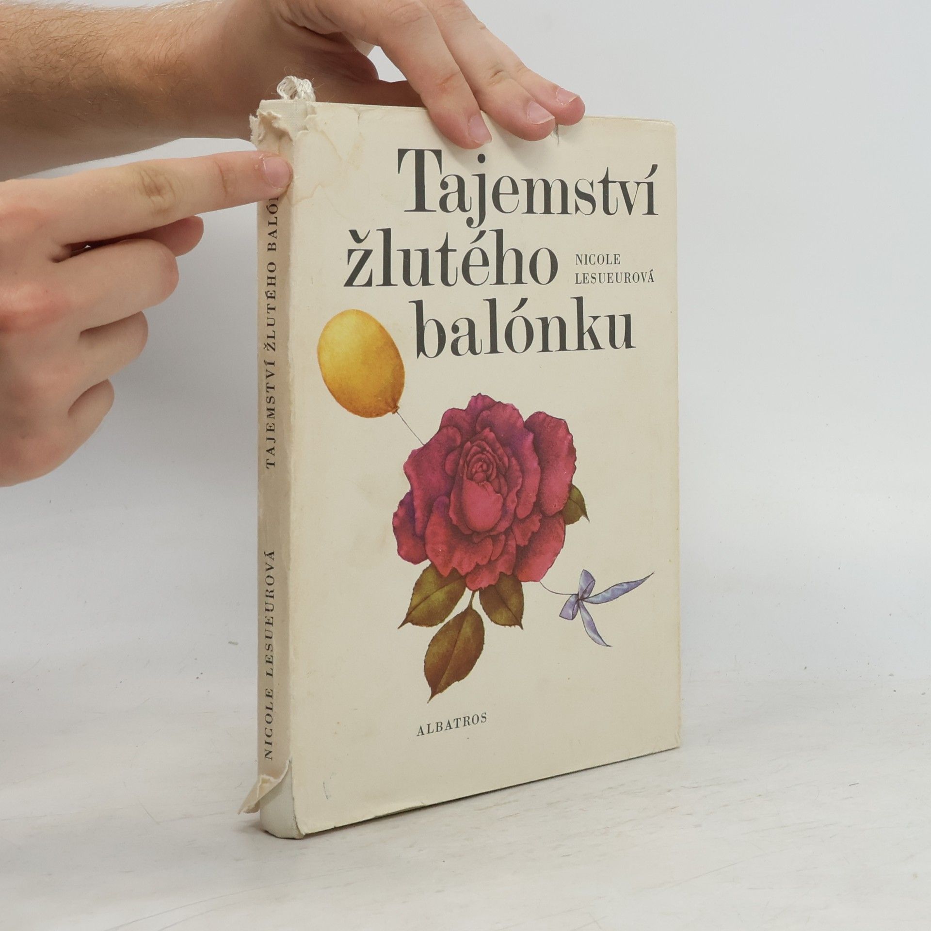 Nicole Lesueur Tajemství žlutého balónku