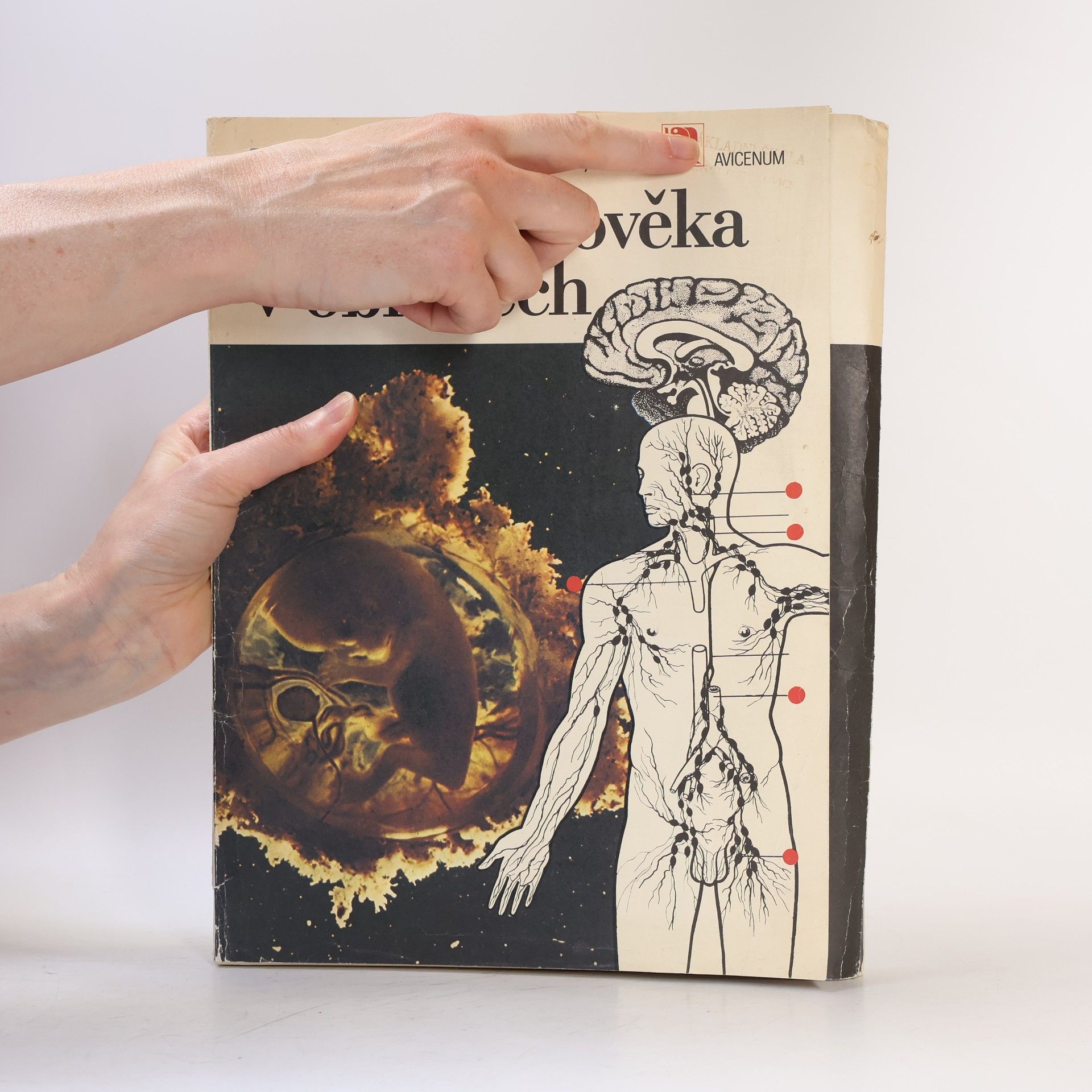 Stanislav Trojan Biologie člověka v obrazech